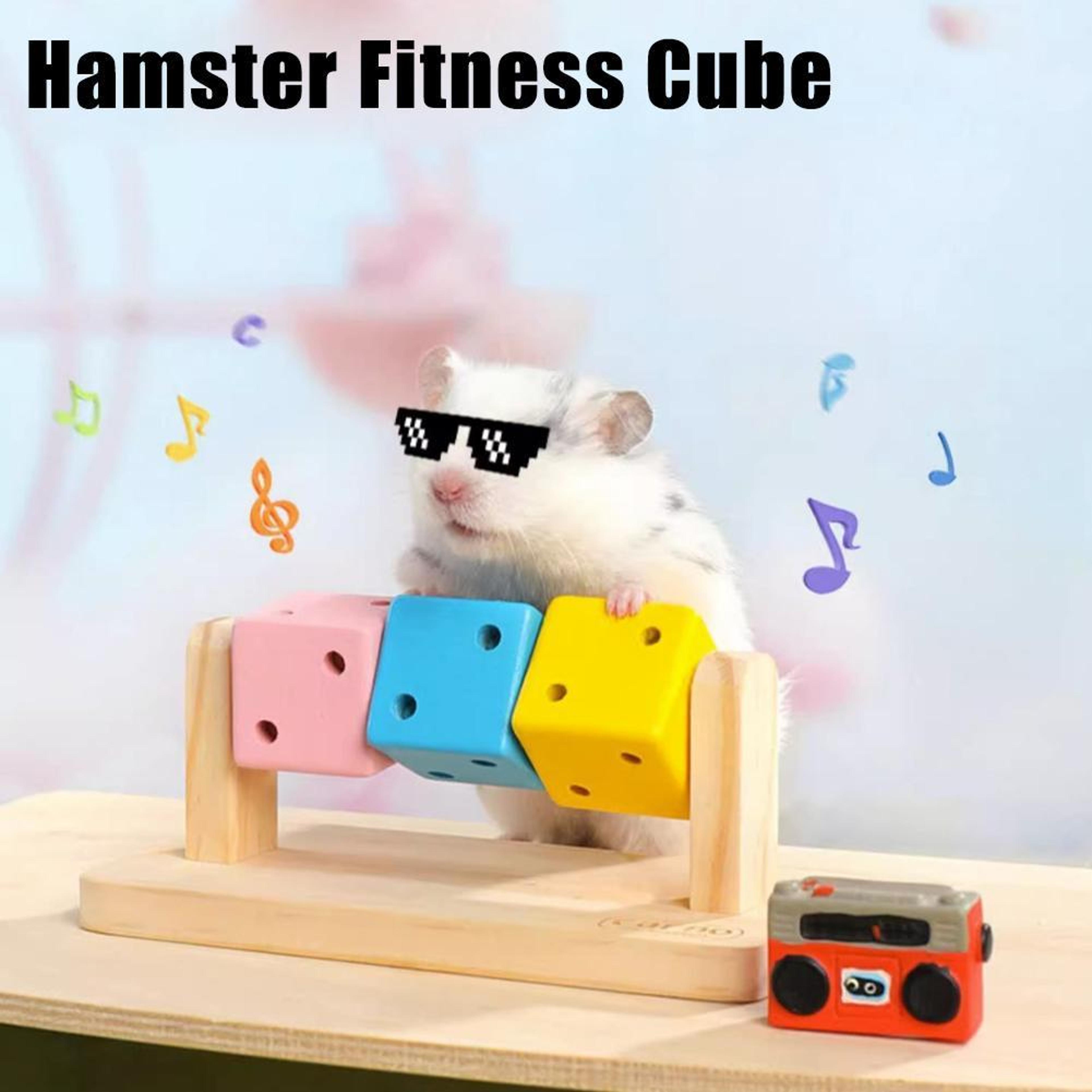 colorful hamster fitness cube wooden small animal activity toy