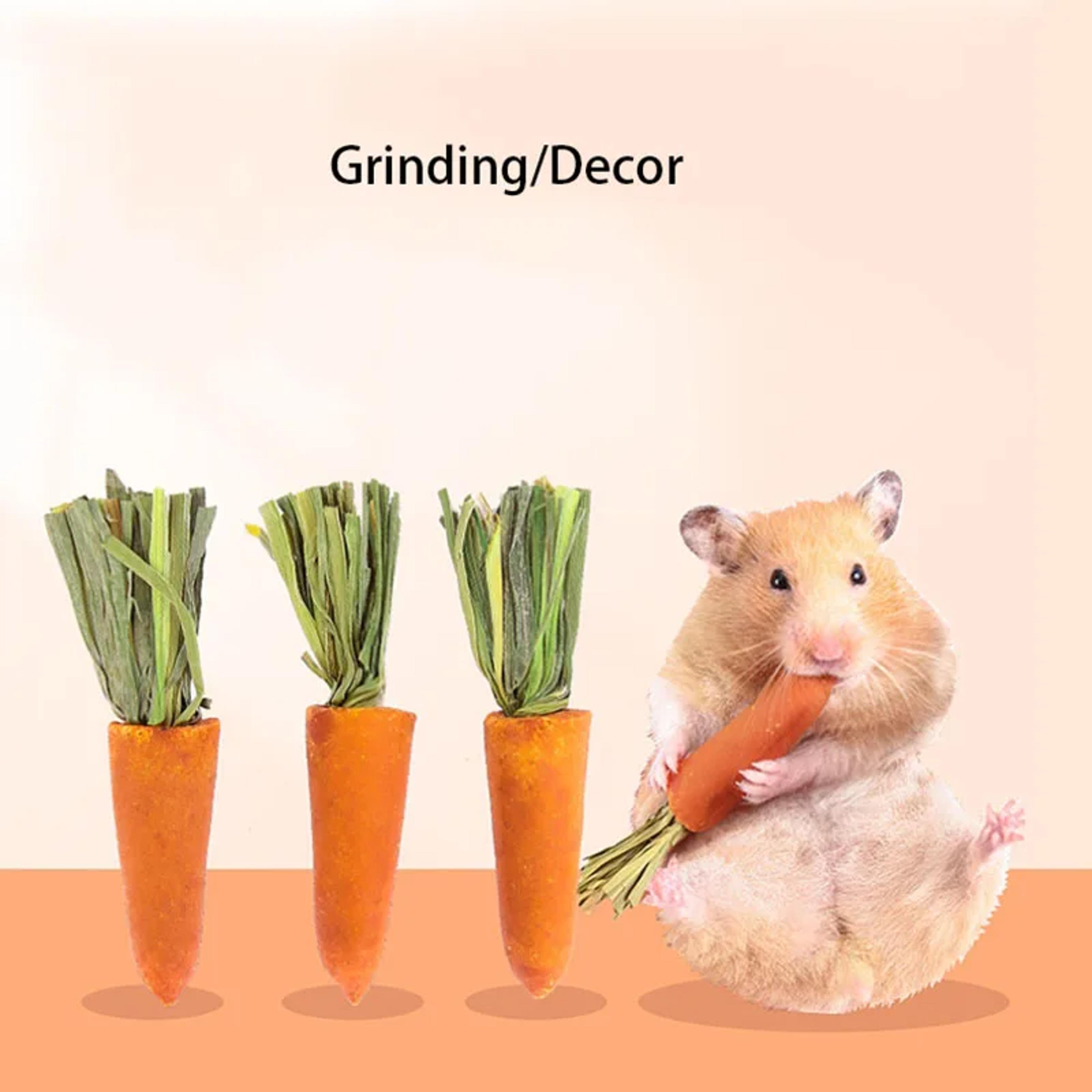 natural fruit shaped small pet molar stone chew toy for hamsters and rabbits