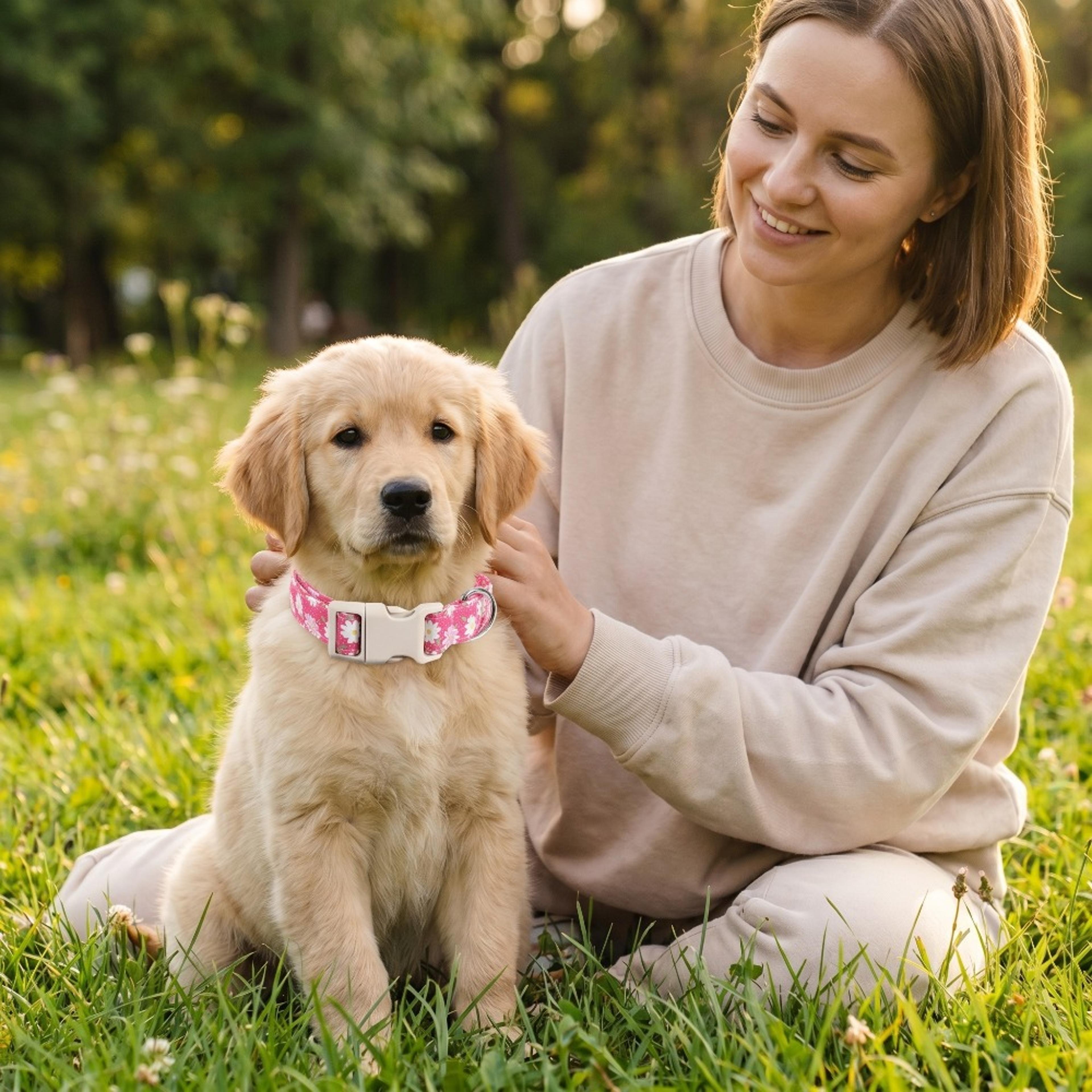 elegant flower dog collar soft cotton dog collar for small, medium & large girl dogs