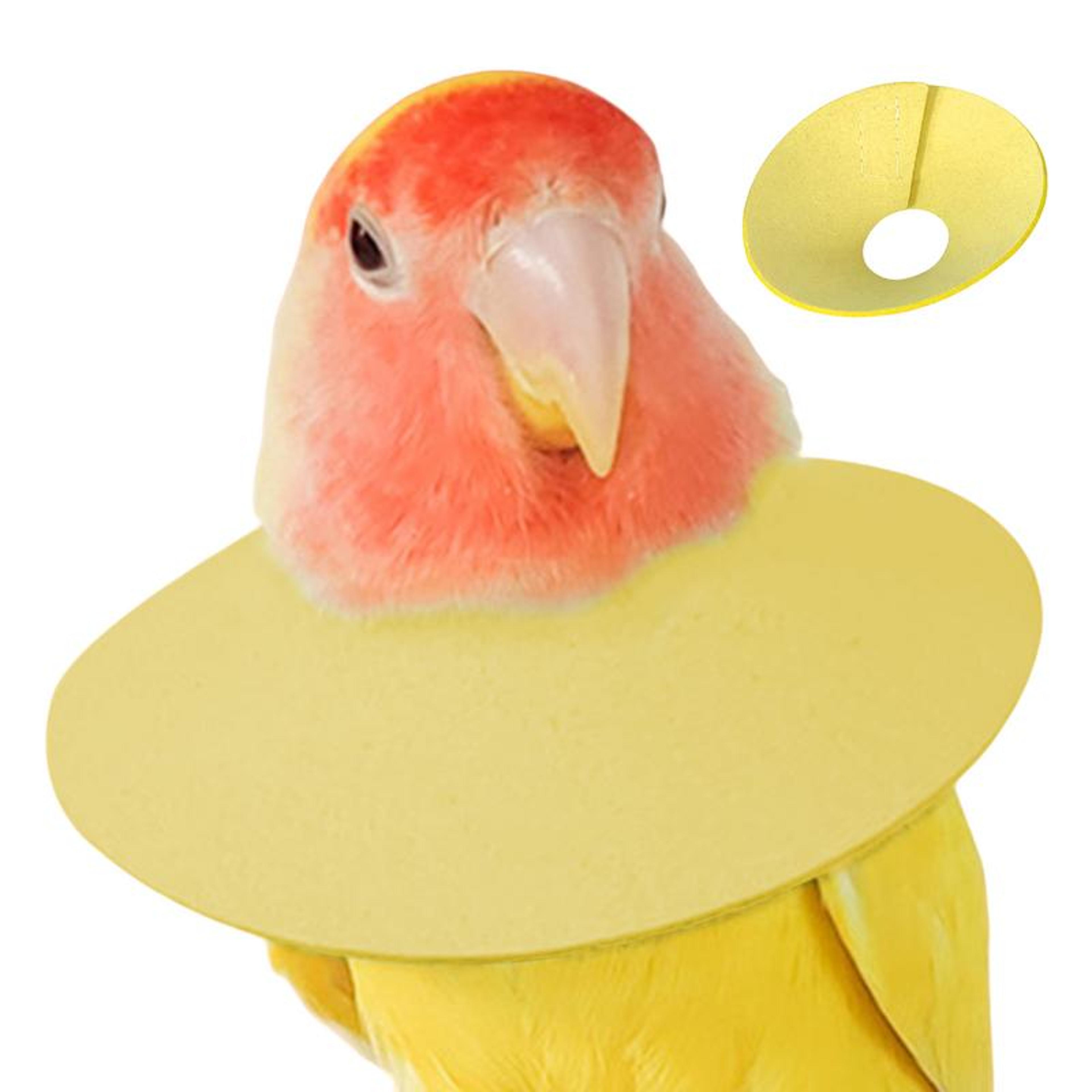 soft bird elizabethan collar for cockatiels & parrots breathable bird recovery collar anti feather plucking cone