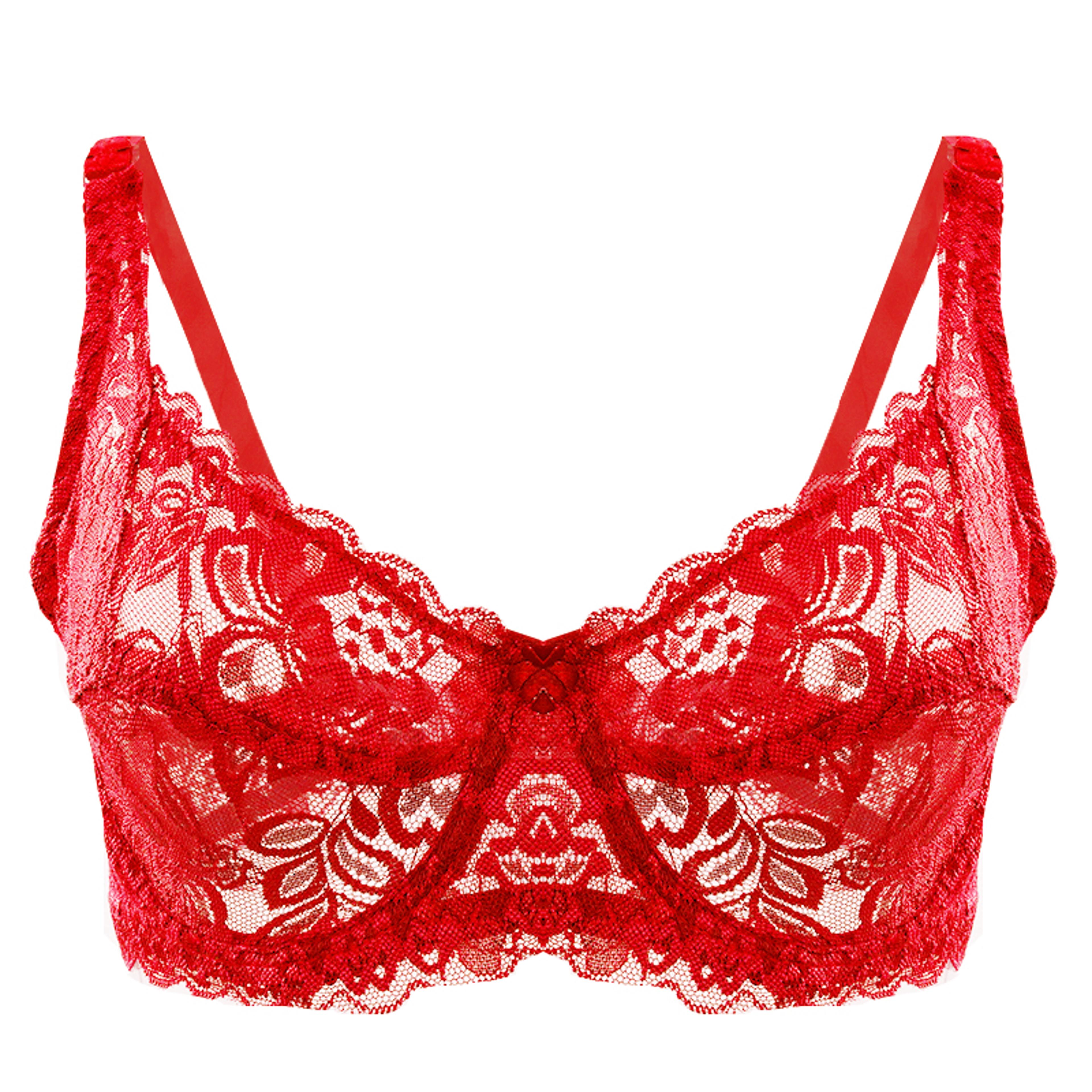 plus size lace push up bra with underwire and adjustable straps
