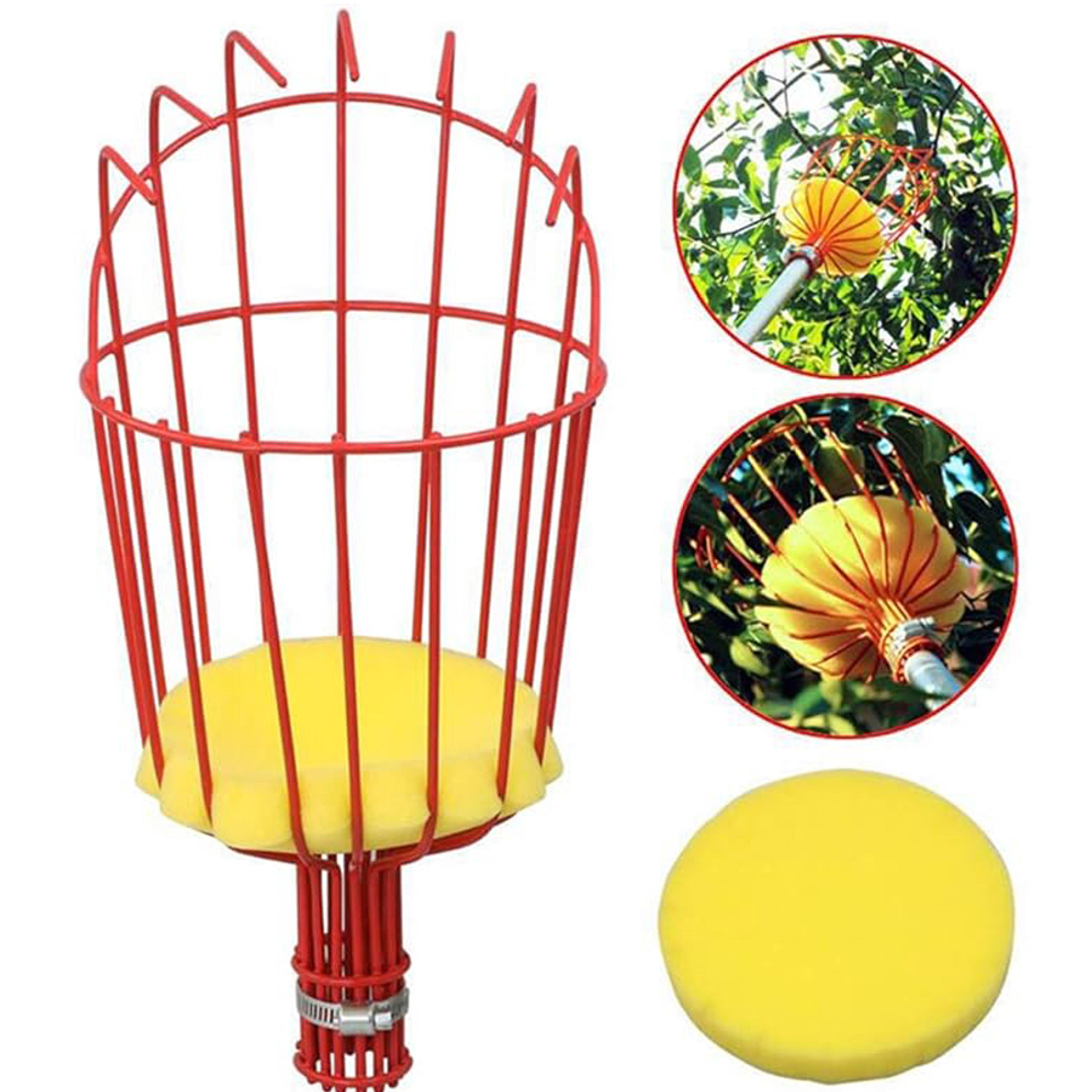 telescopic fruit picker pole with basket – stainless steel tree fruit picking tool