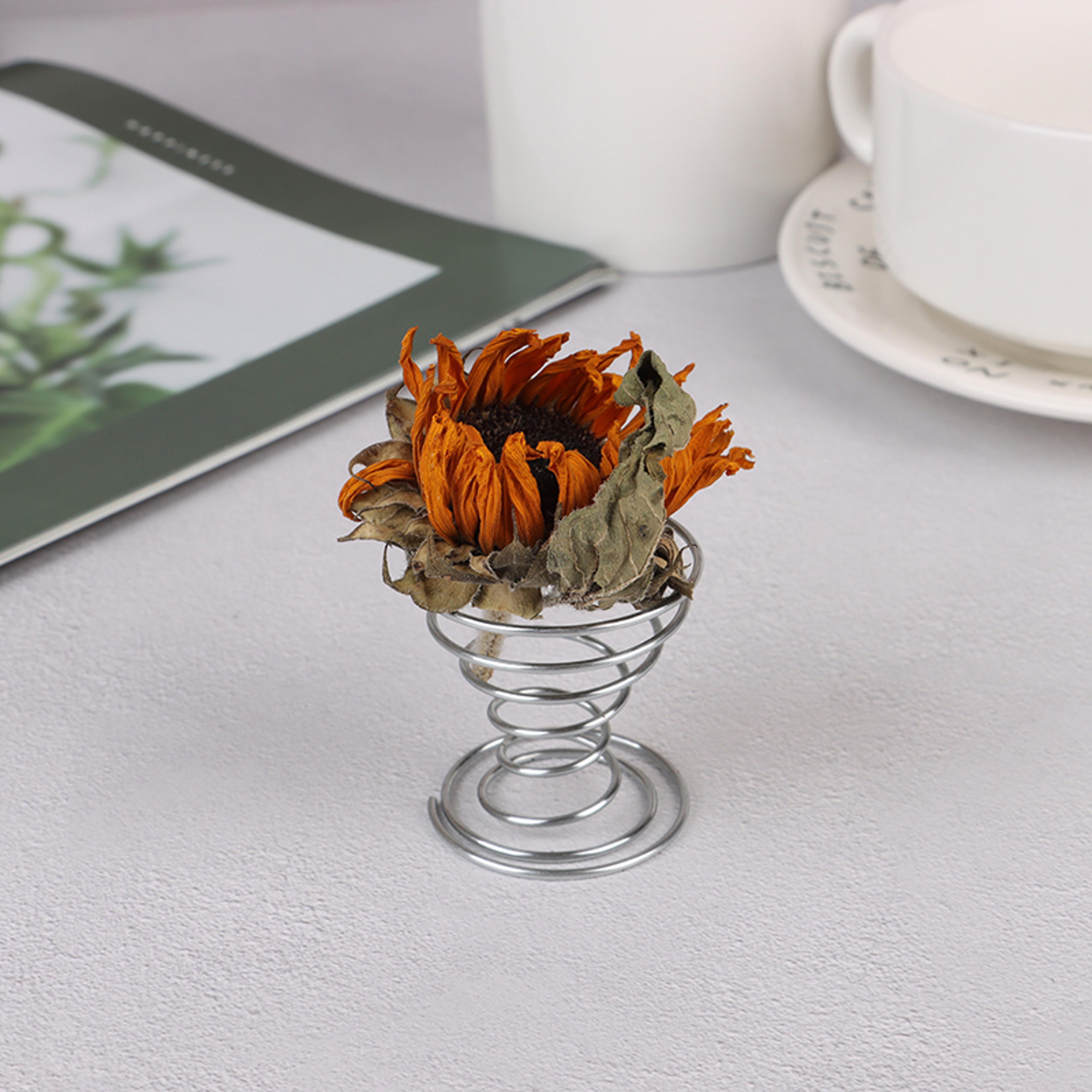 modern metal air plant holder set flexible tillandsia display stand decor