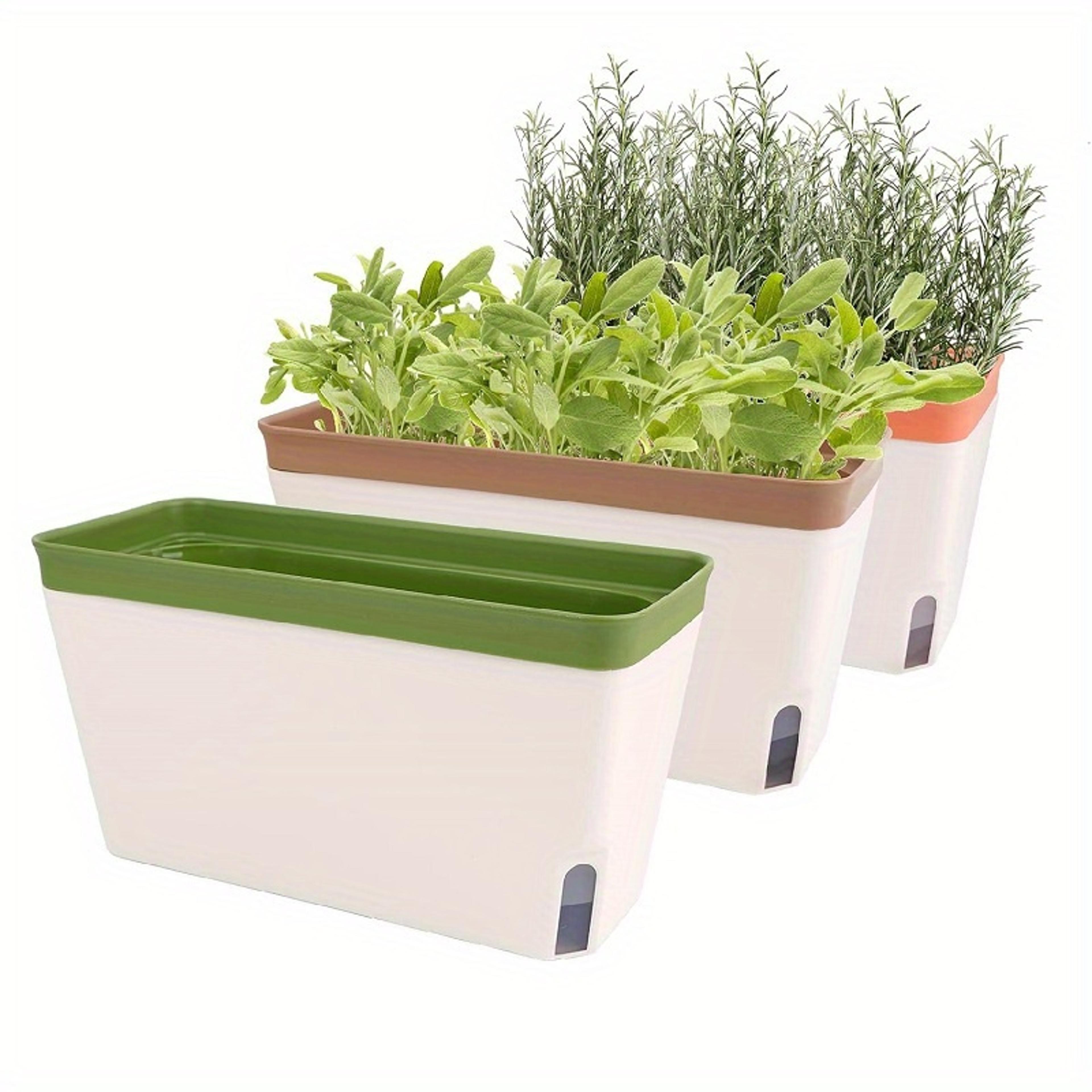 self watering herb planter kit indoor windowsill garden with water level indicator