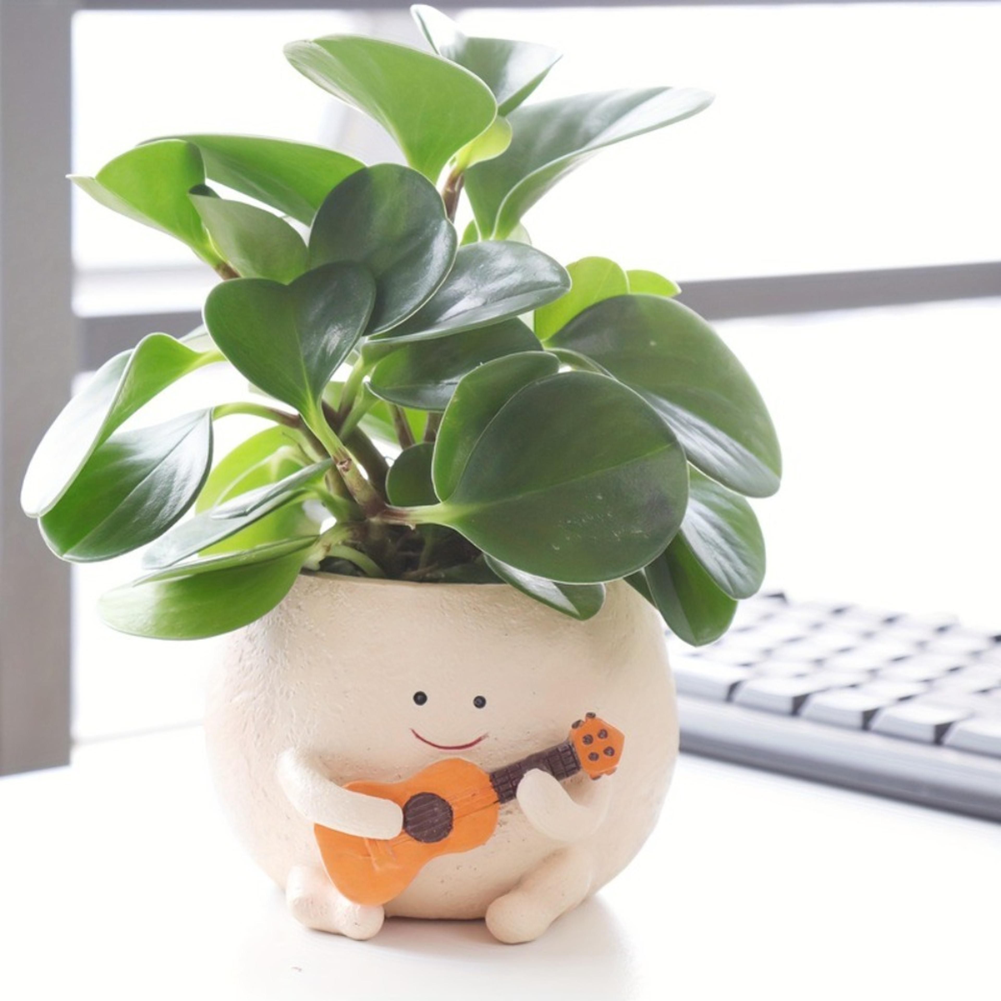 guitar planter succulent flower pot cute desk decor for home office