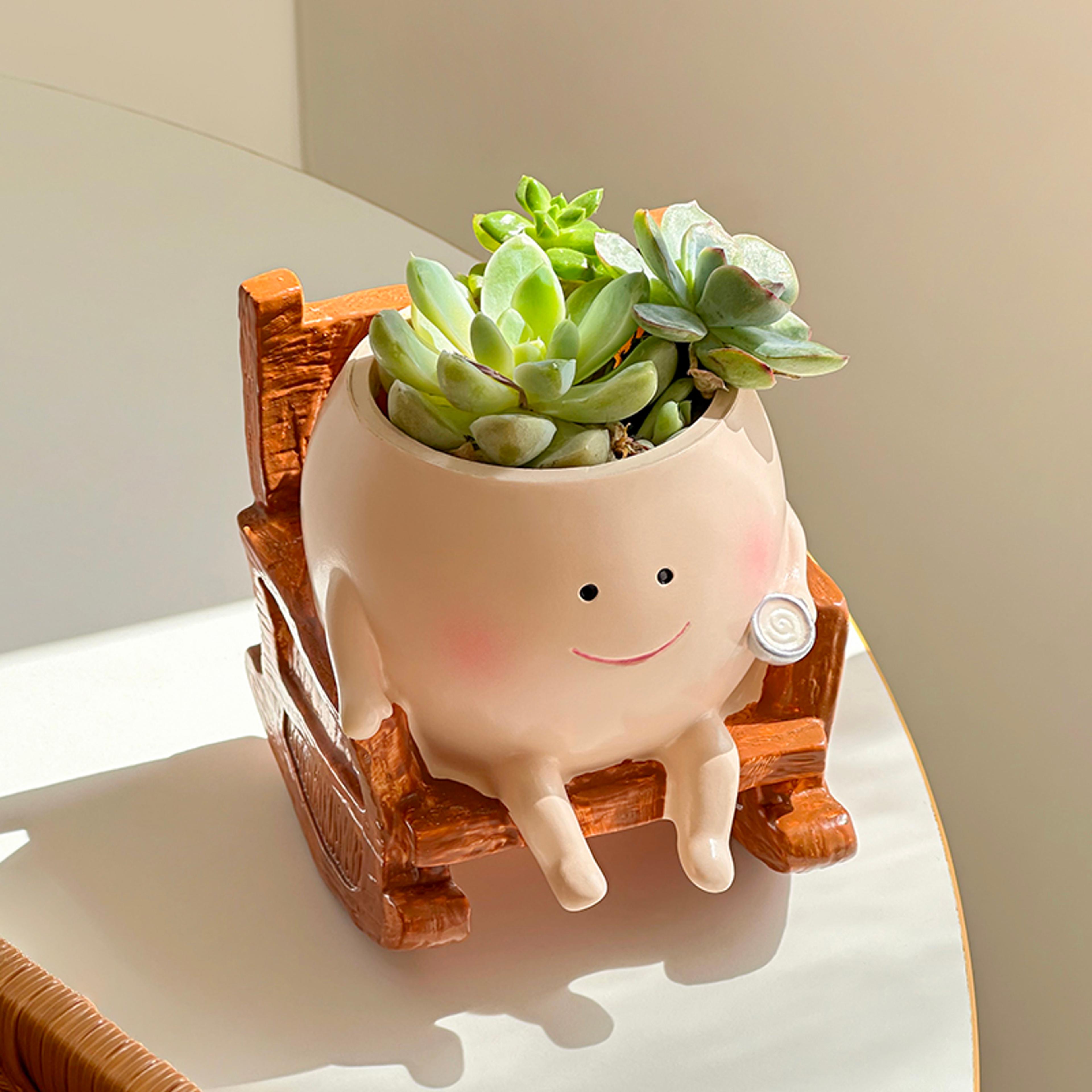 swing face succulent planter cute hanging flower pot for desk decor