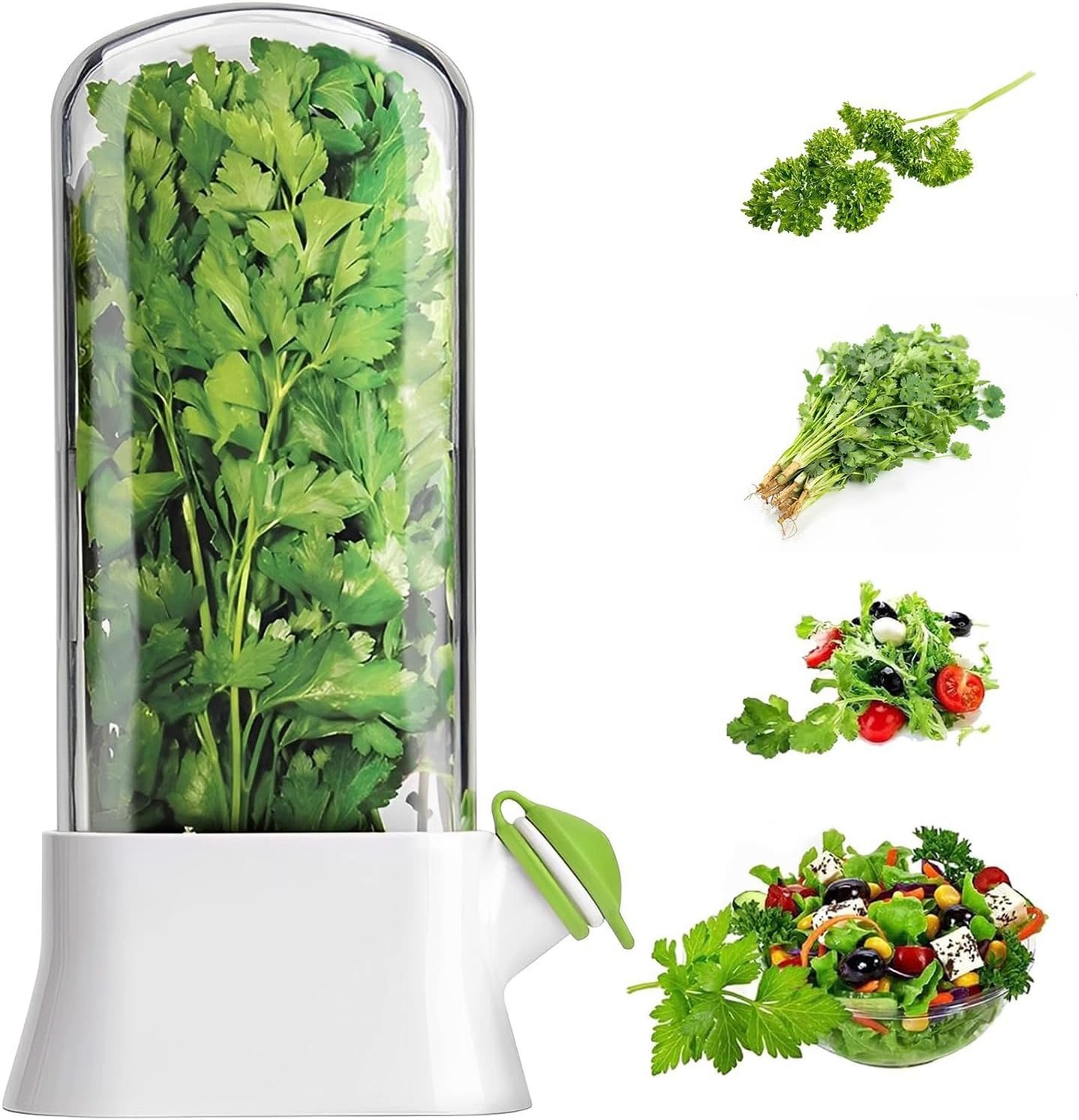 freshlock herb keeper for refrigerator with water reservoir for cilantro, basil, mint & parsley