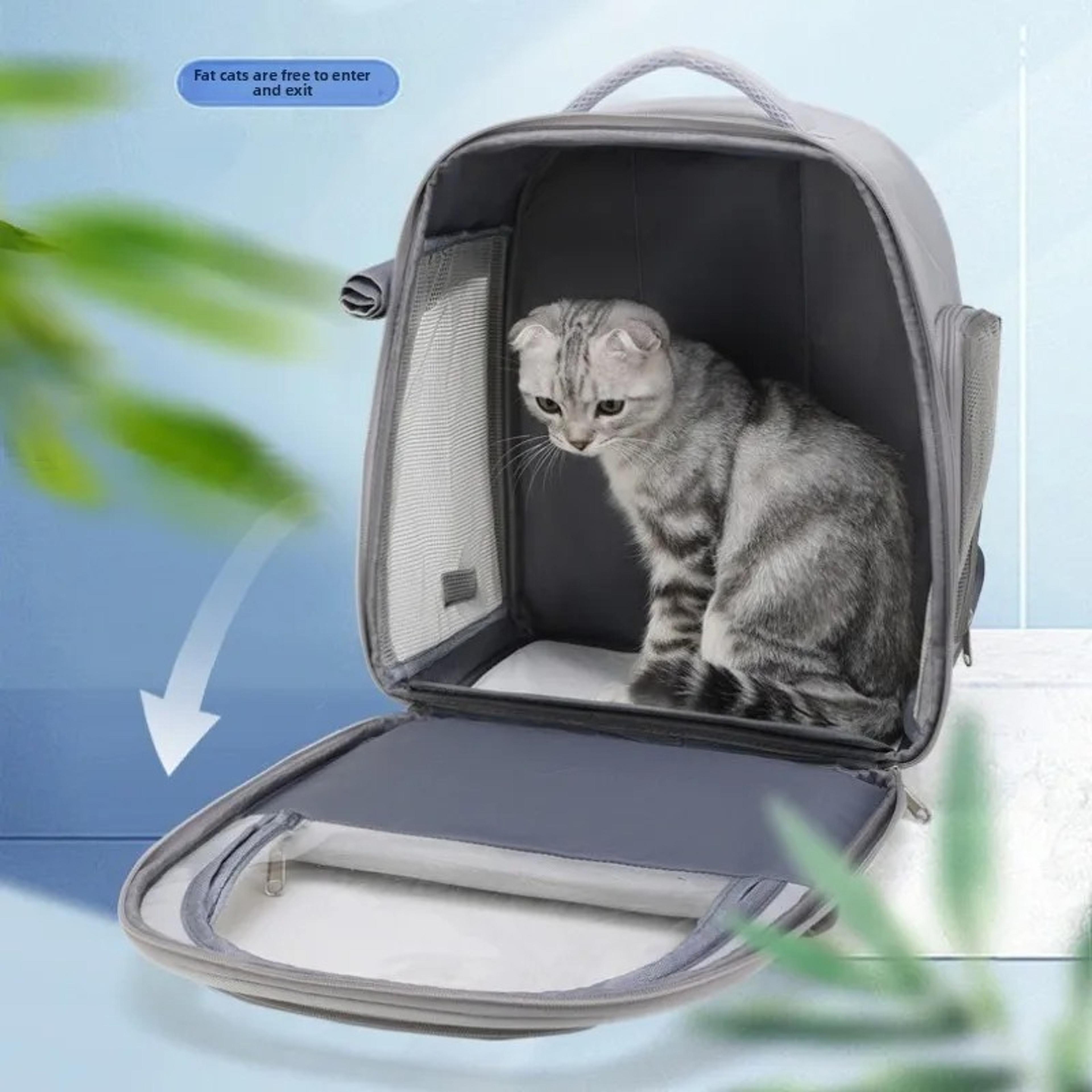 breathable mesh pet carrier backpack for dogs and cats, large capacity portable foldable backpack for hiking travel camp