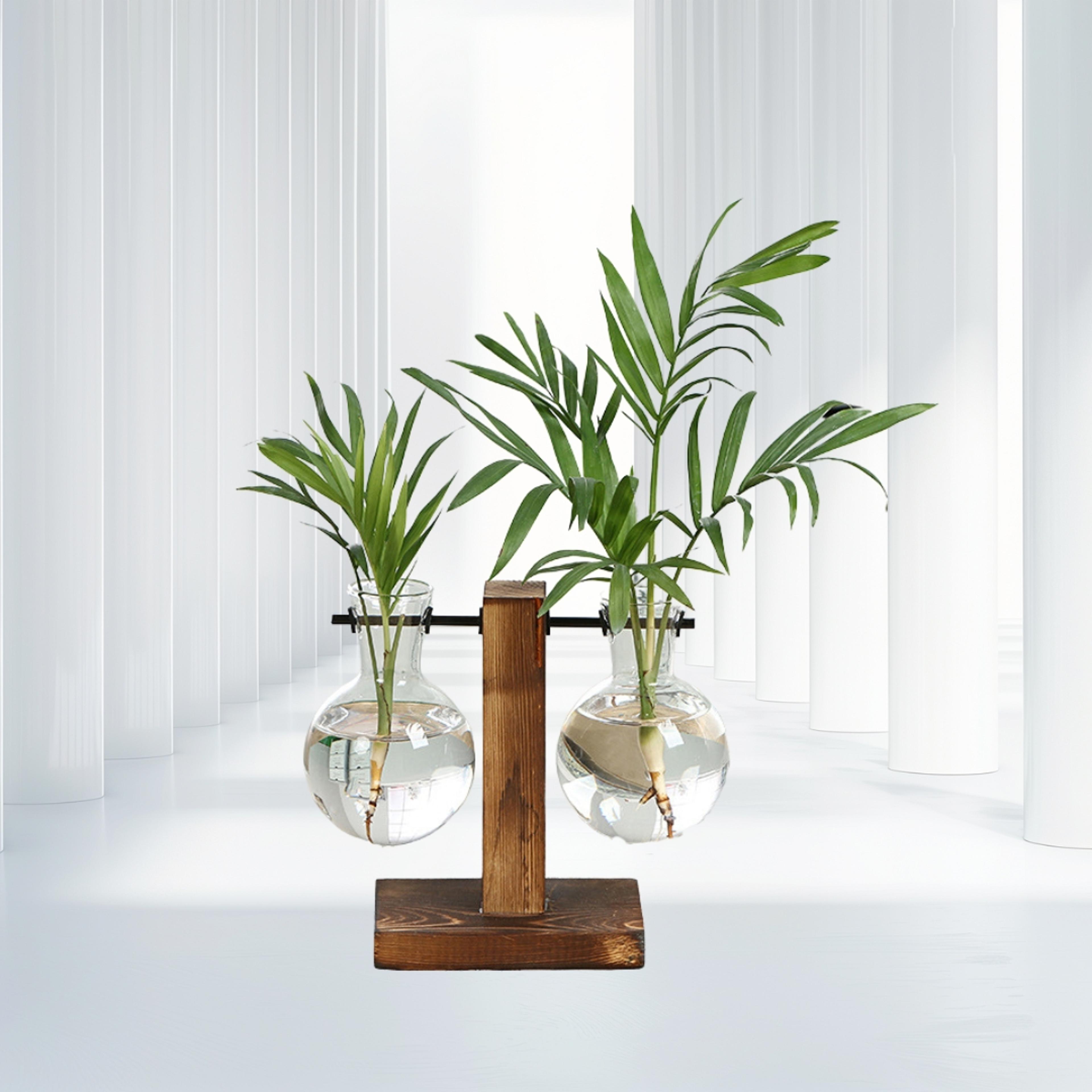 wooden frame hydroponic plant vase stylish desktop green plant holder, small glass flower arrangement container