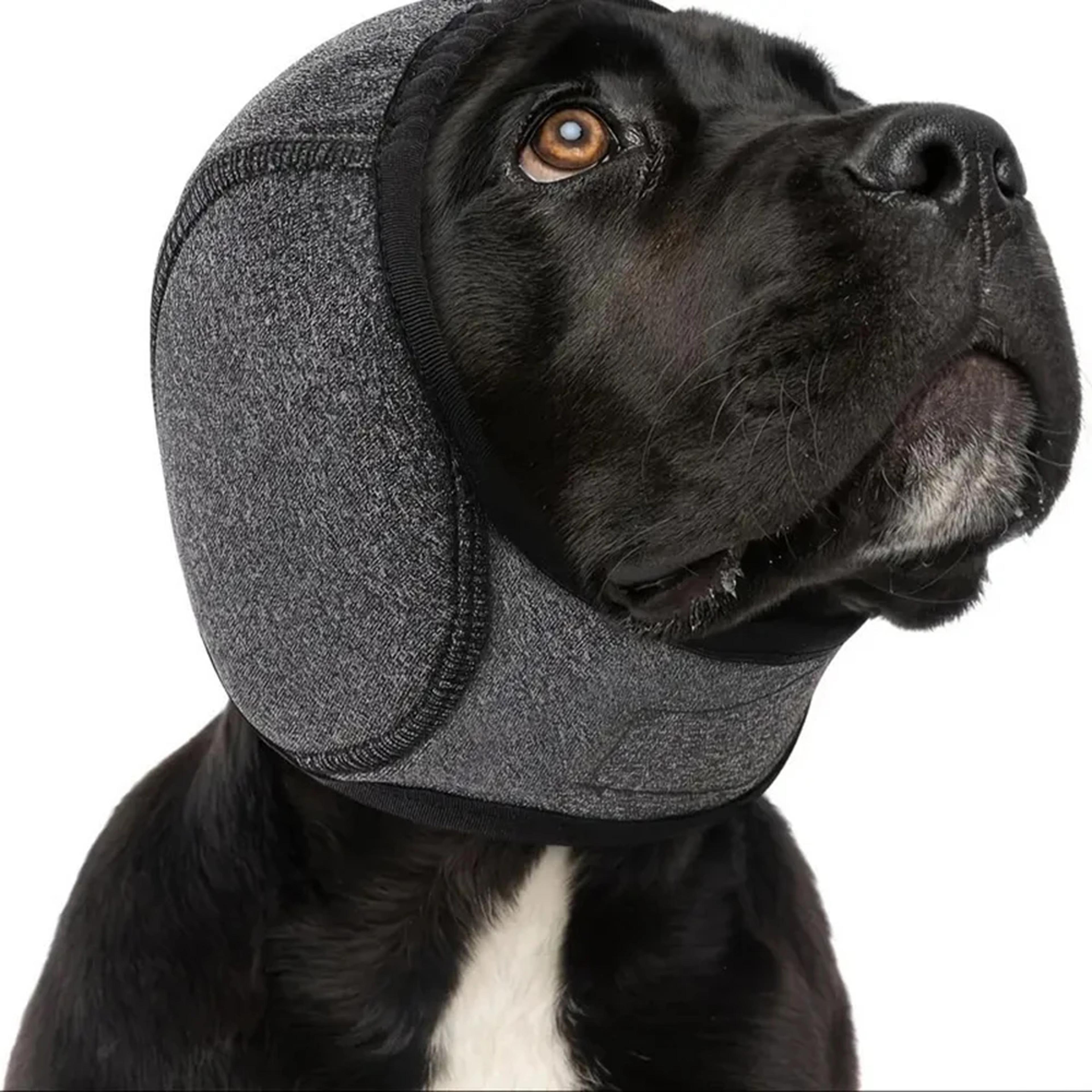 dog noise reduction ear muffs waterproof sound insulation headgear for emotional soothing