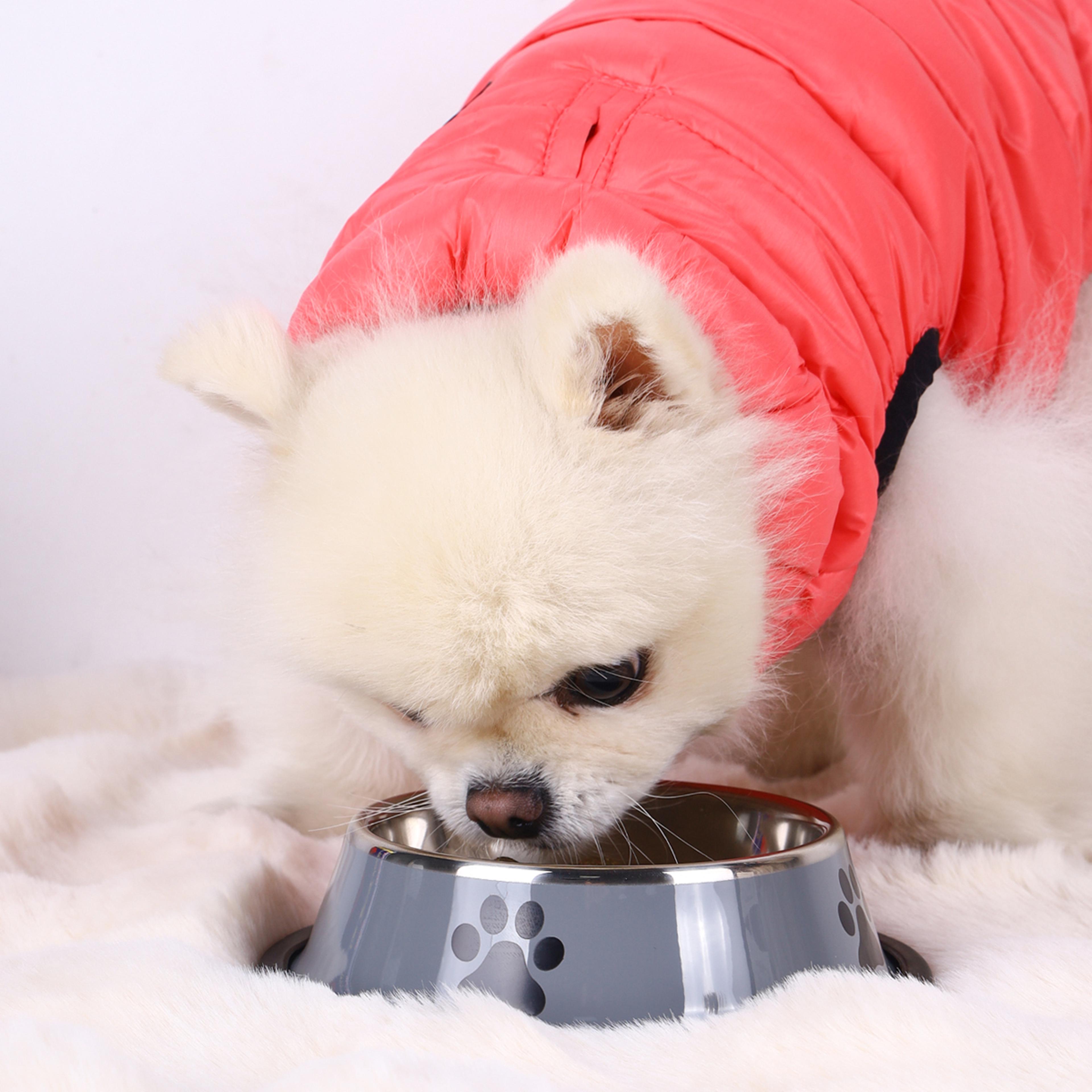 stainless steel pet bowl for cats & dogs anti-fall, multi-specification feeding dish