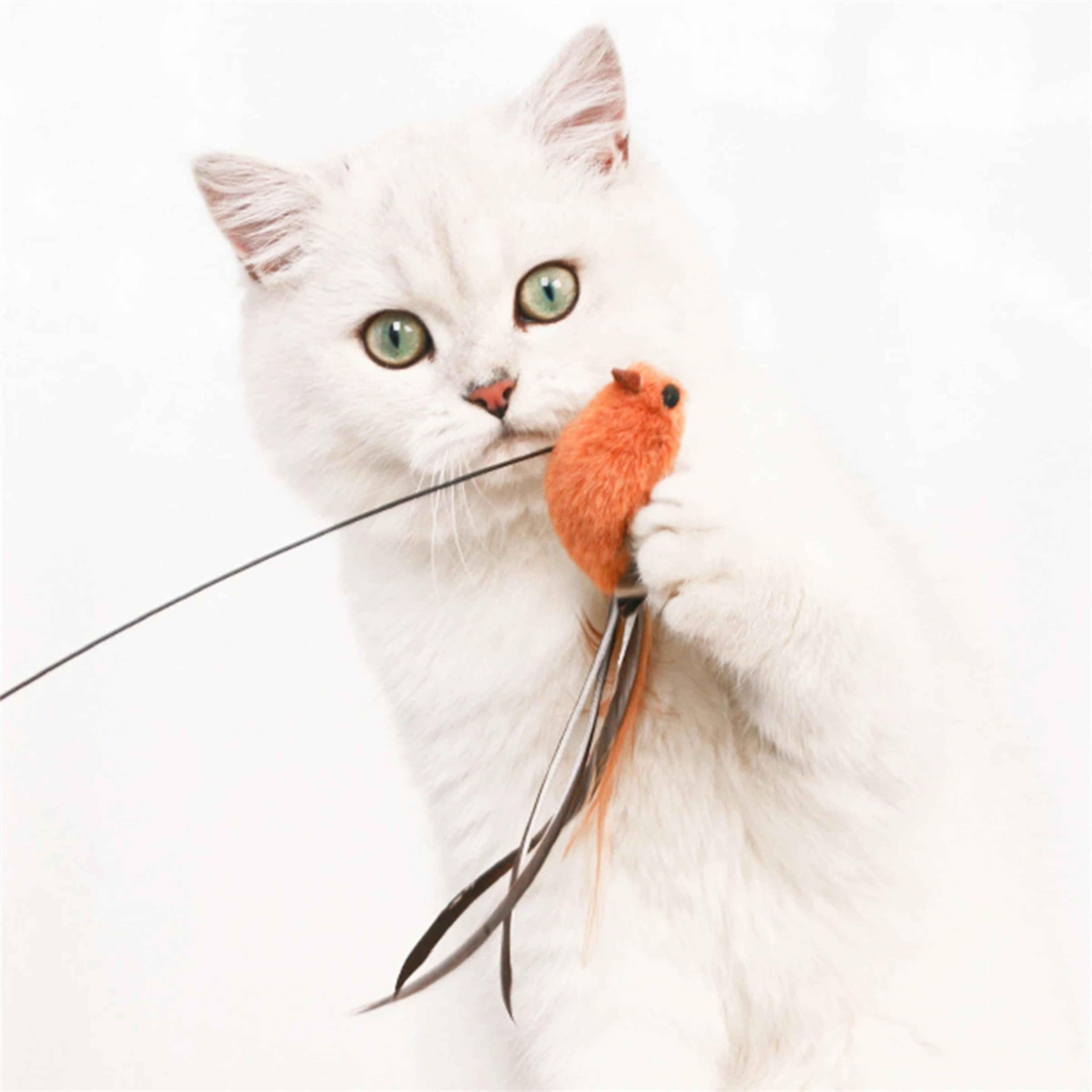 upgraded feather cat teasing stick safe & engaging bird simulation toy with epoxy sucker & steel wire rod