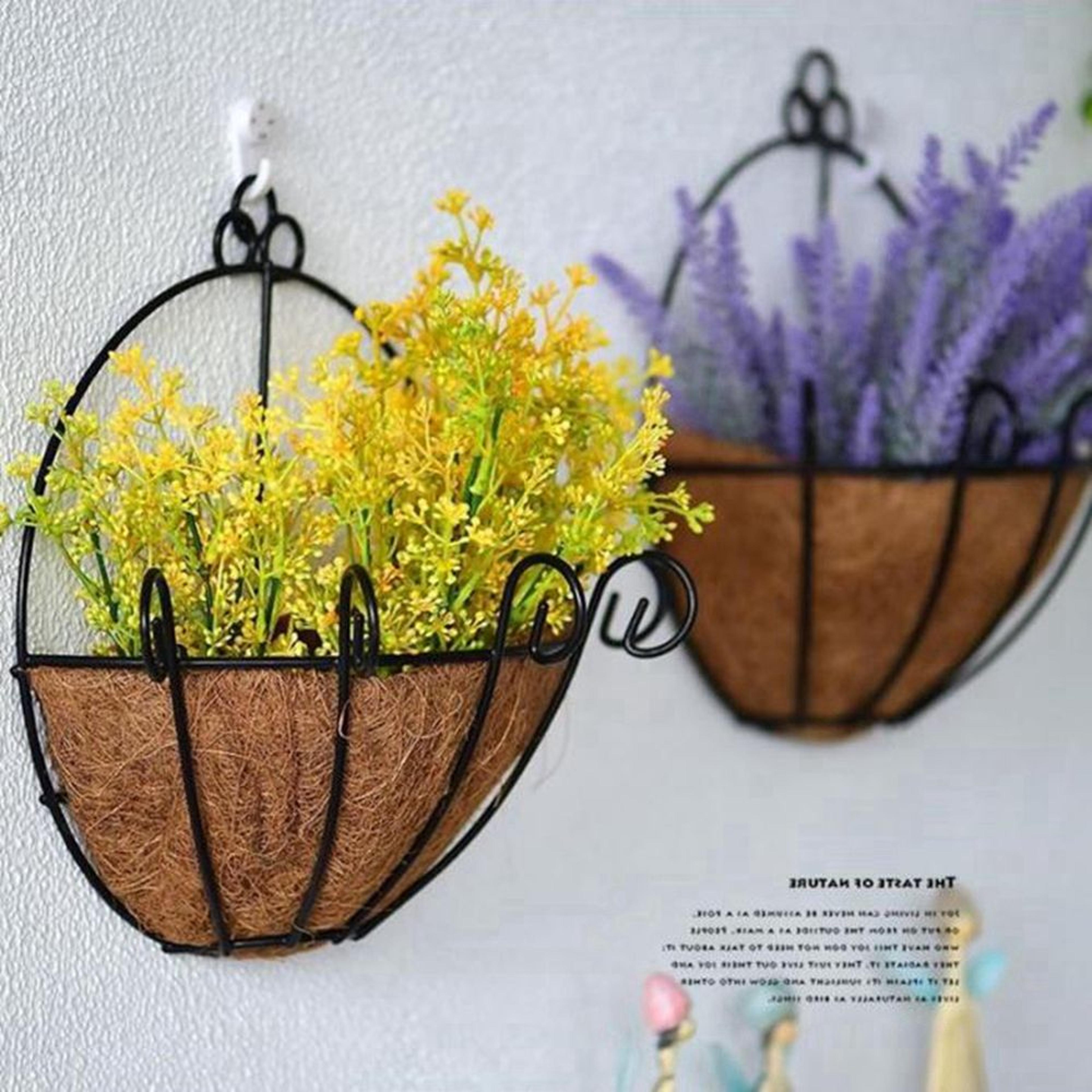 coconut palm hanging basket planter for succulents wall garden decor