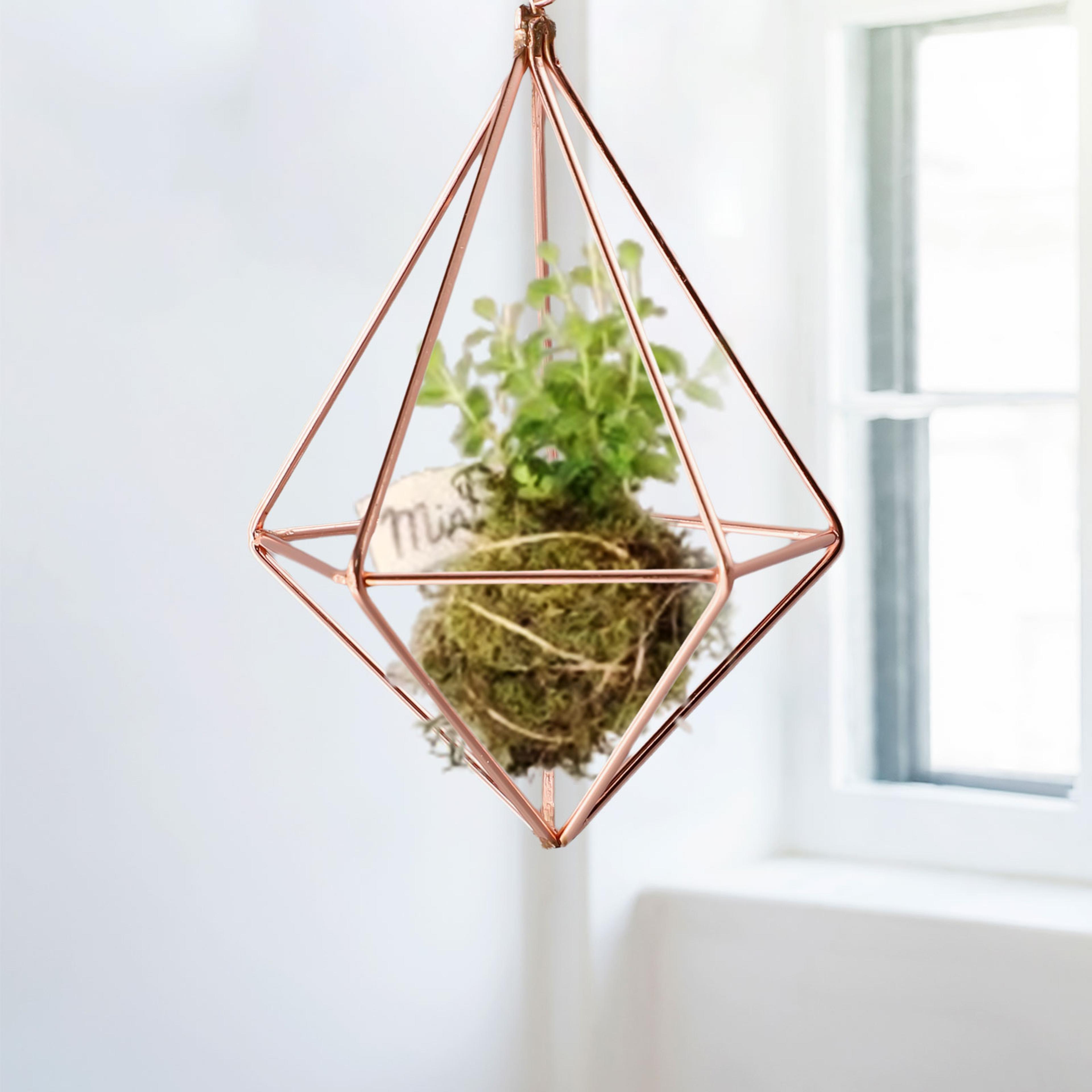 geometric macrame plant holder boho hanging stand for air plants