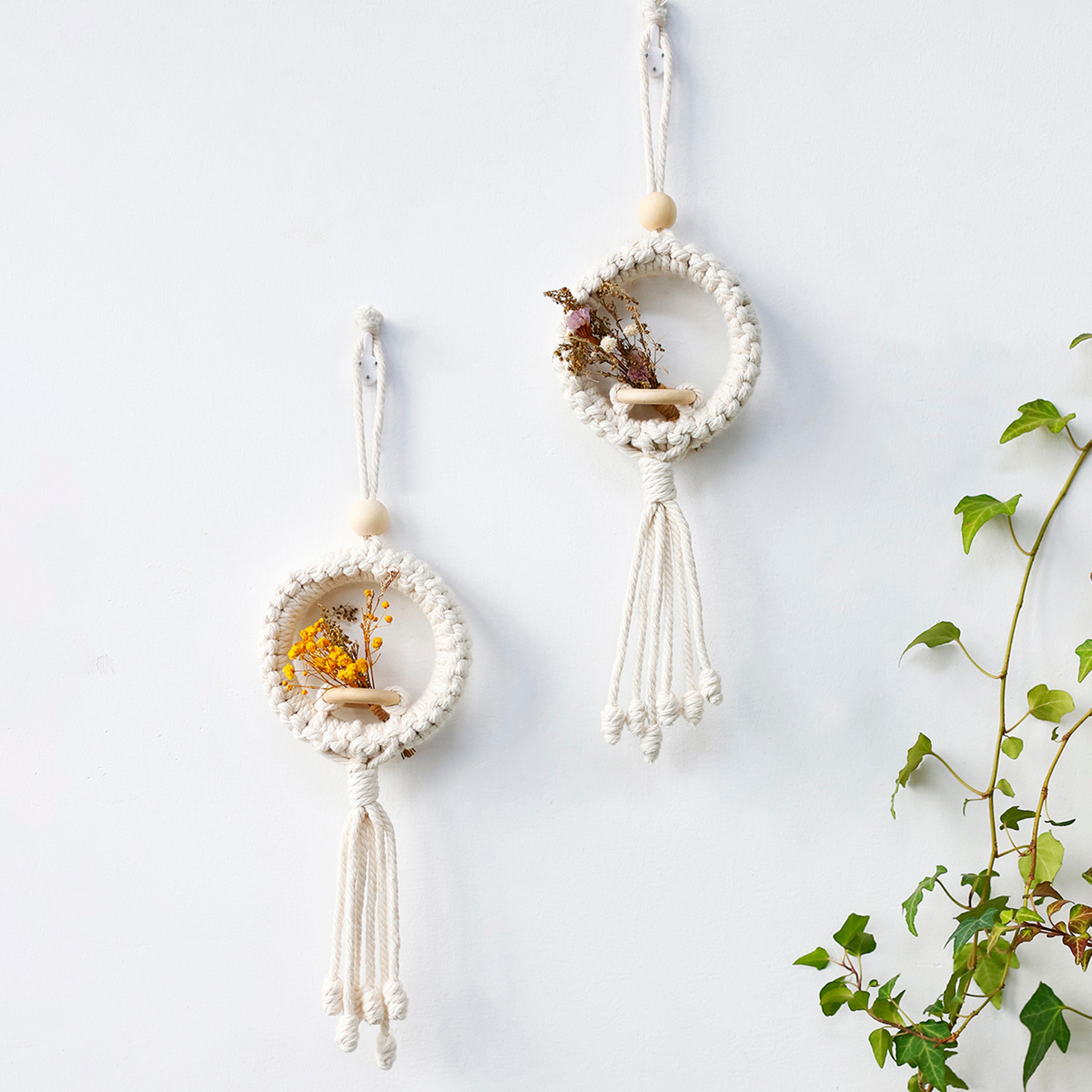 macrame air plant holder boho wall hanging decor for indoor plants