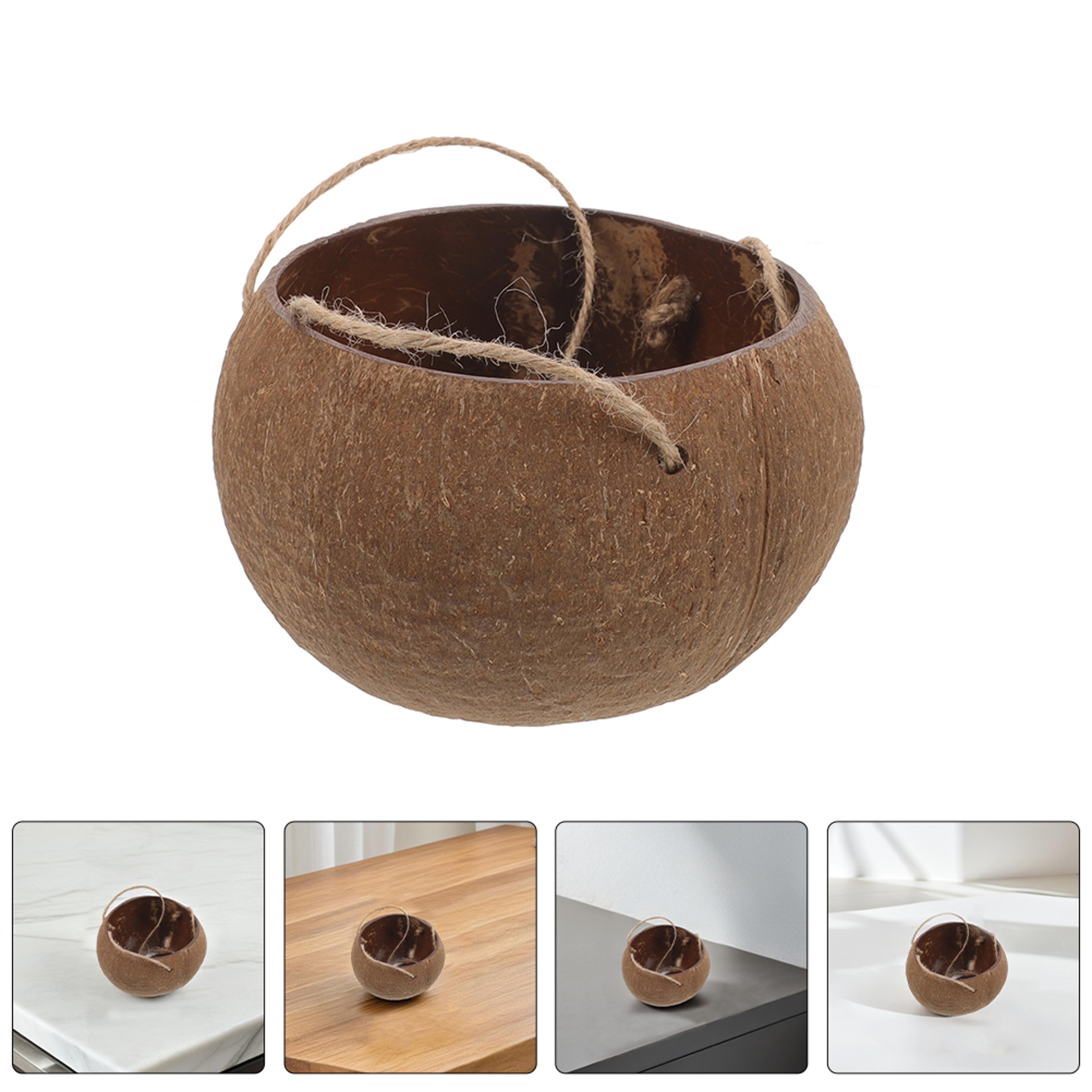 natural coconut shell hanging planter for indoor plants balcony decor