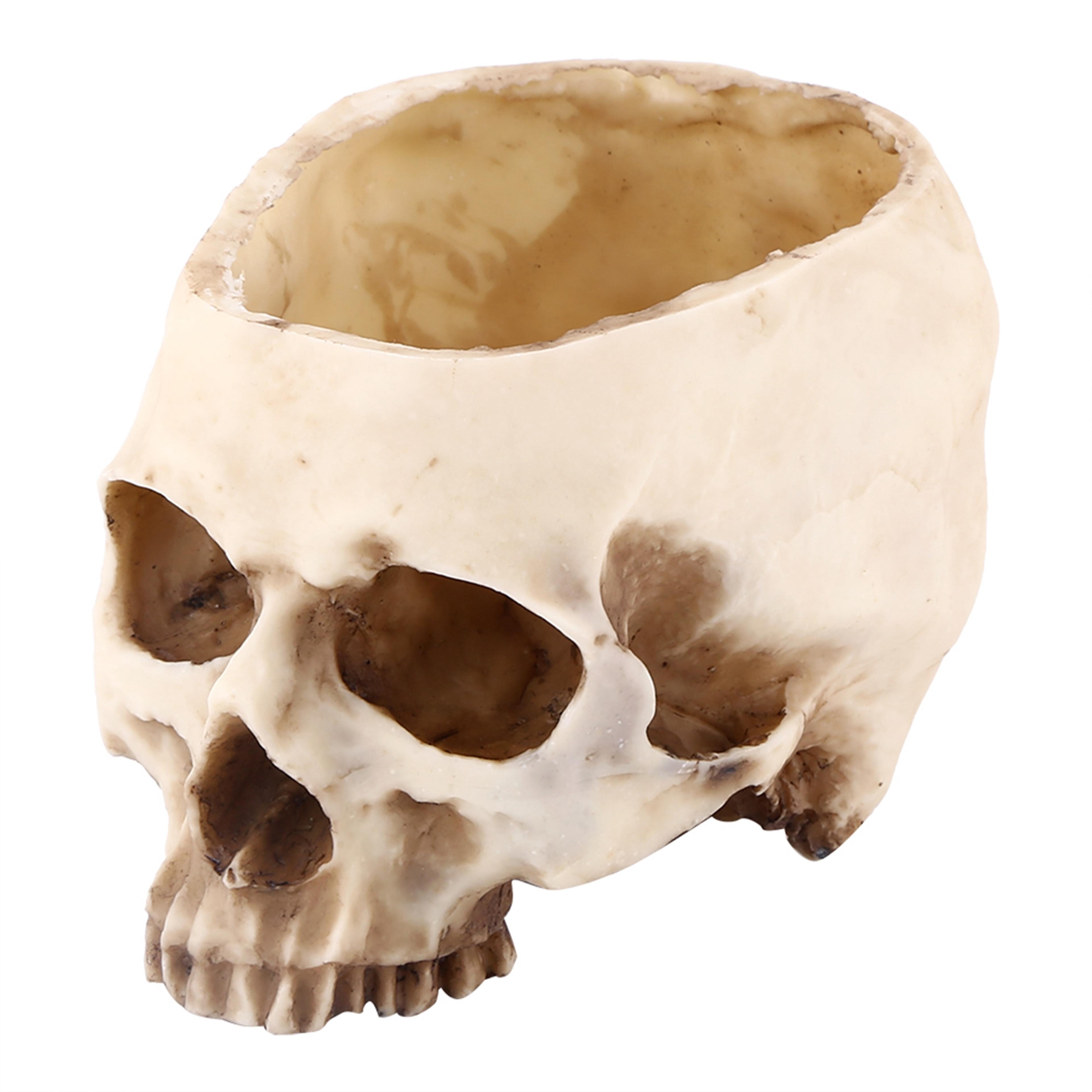 resin skull planter pot decorative skull flower pot for unique home decor