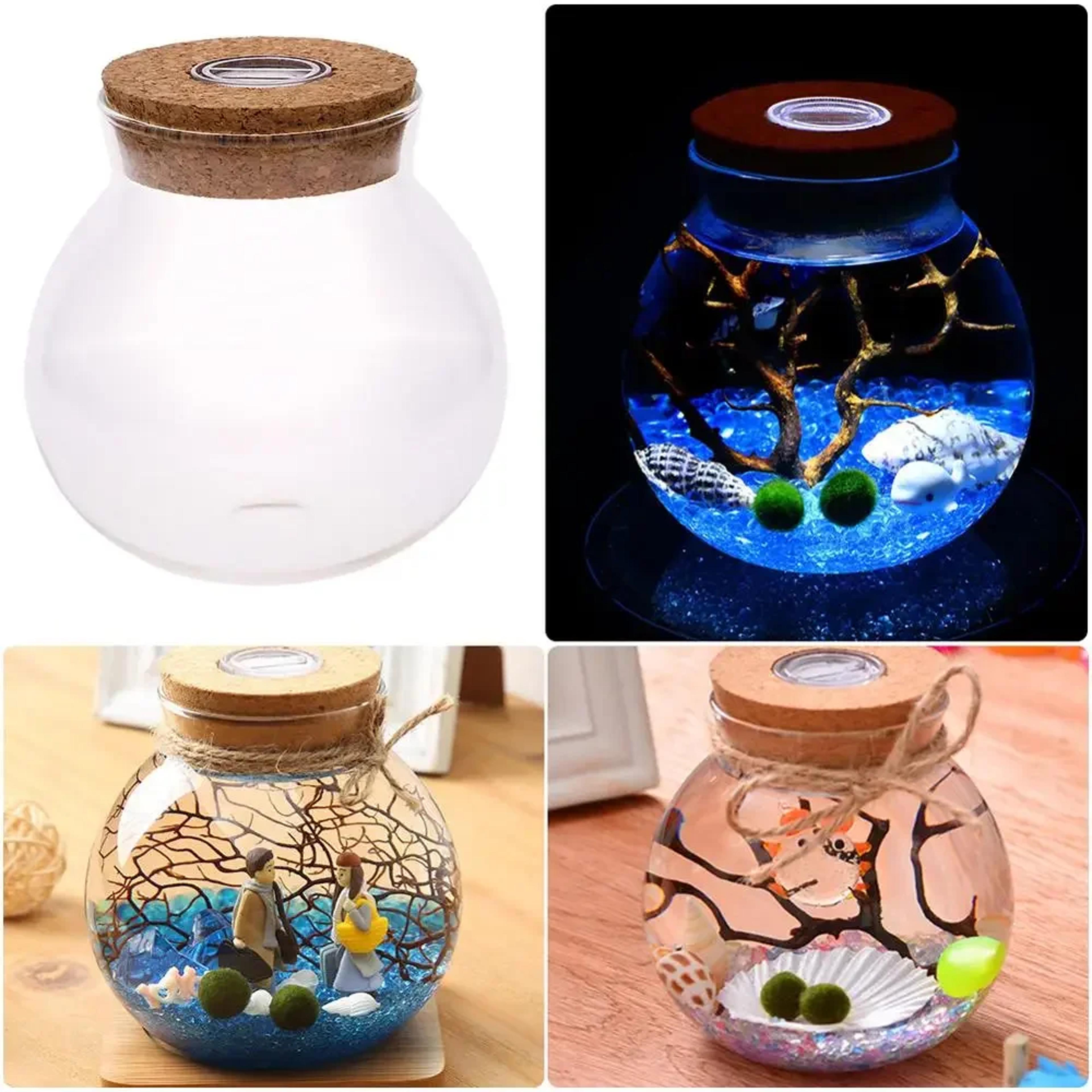 led light glass terrarium jar mini landscape eco bottle night decor round