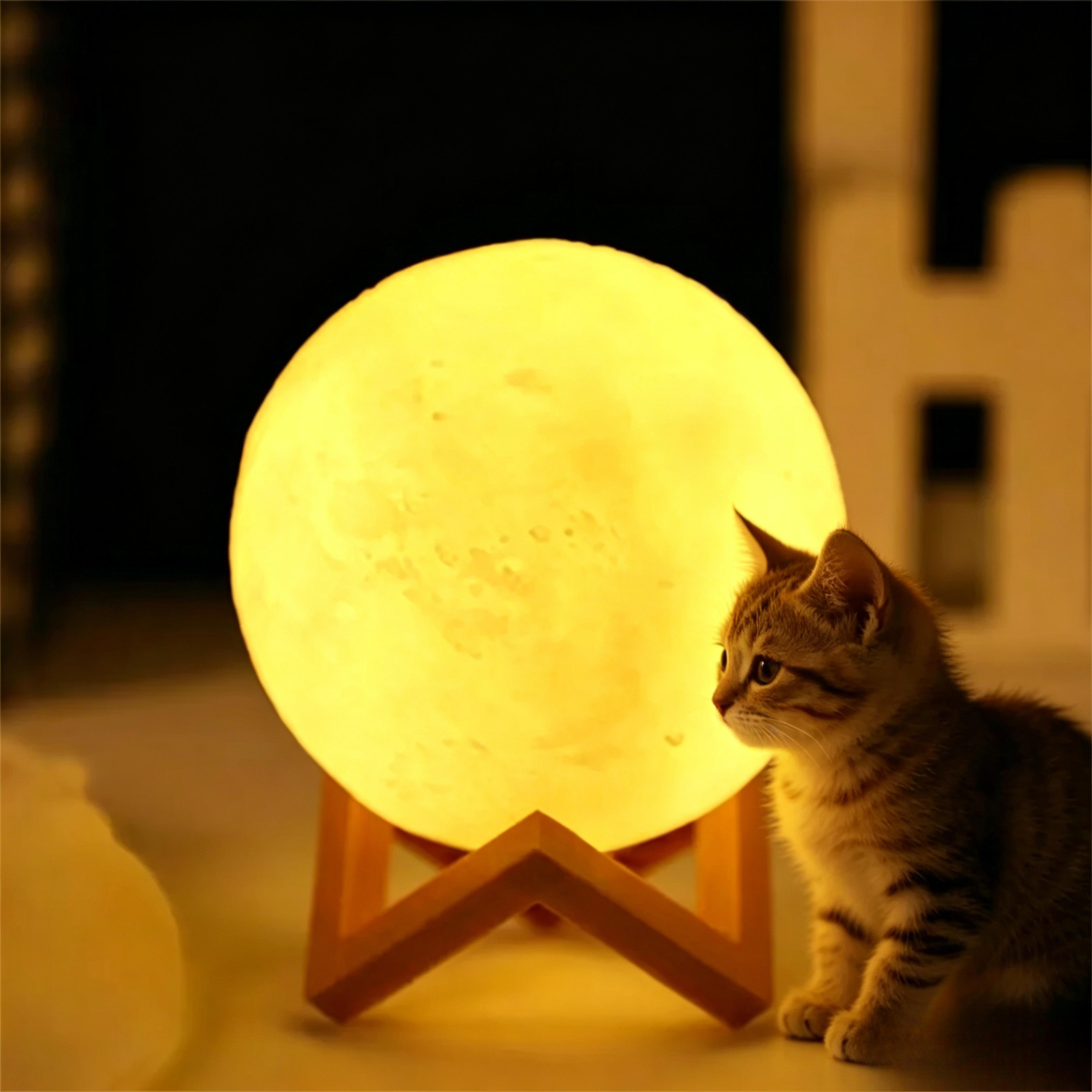 diy painting moon lamp creative 3d star night light bedroom decor