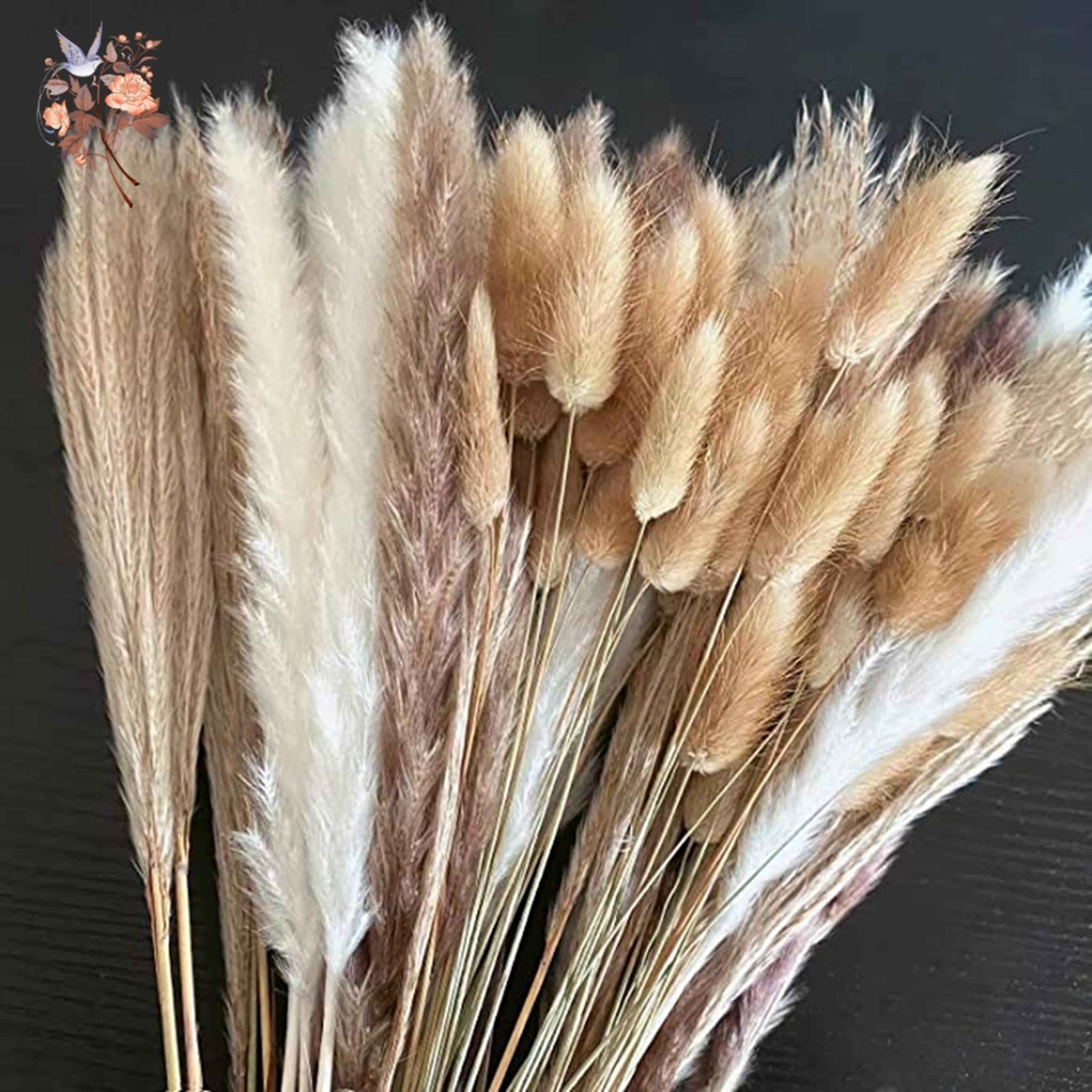 natural pampas dried flowers bouquet for boho home decor and wedding styling