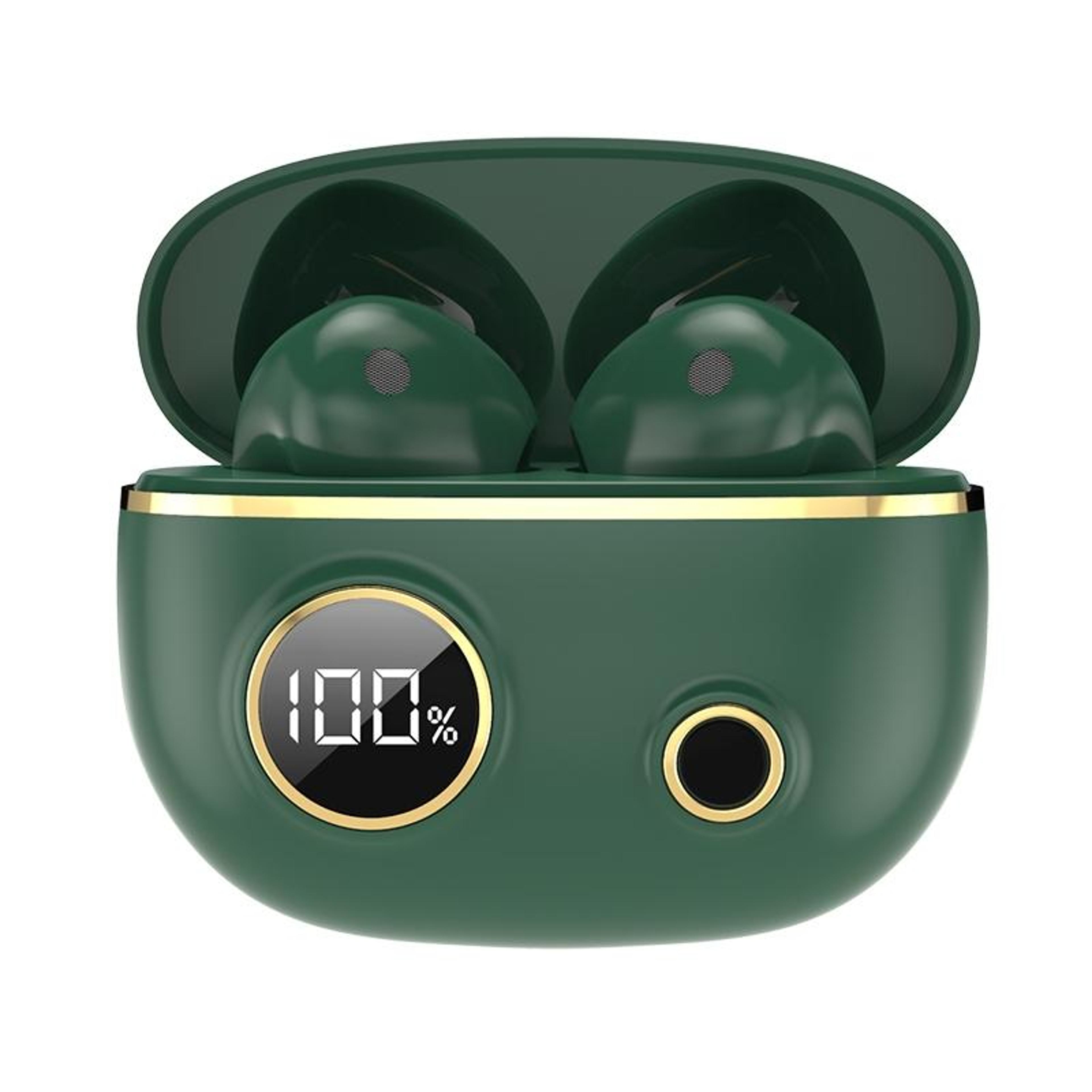 pro100 bluetooth 5.2 wireless earbuds with noise canceling & led charging case