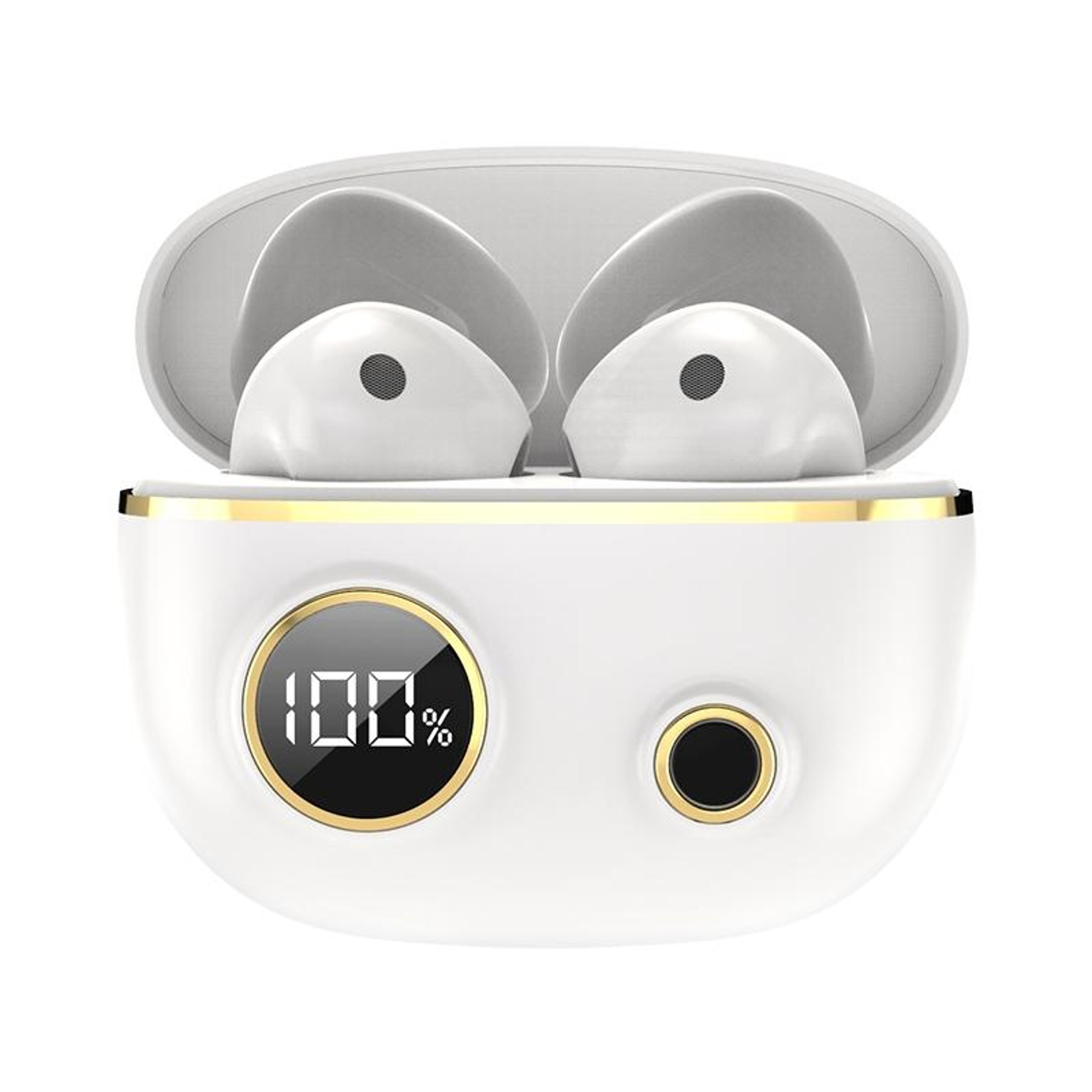 pro100 bluetooth 5.2 wireless earbuds with noise canceling & led charging case