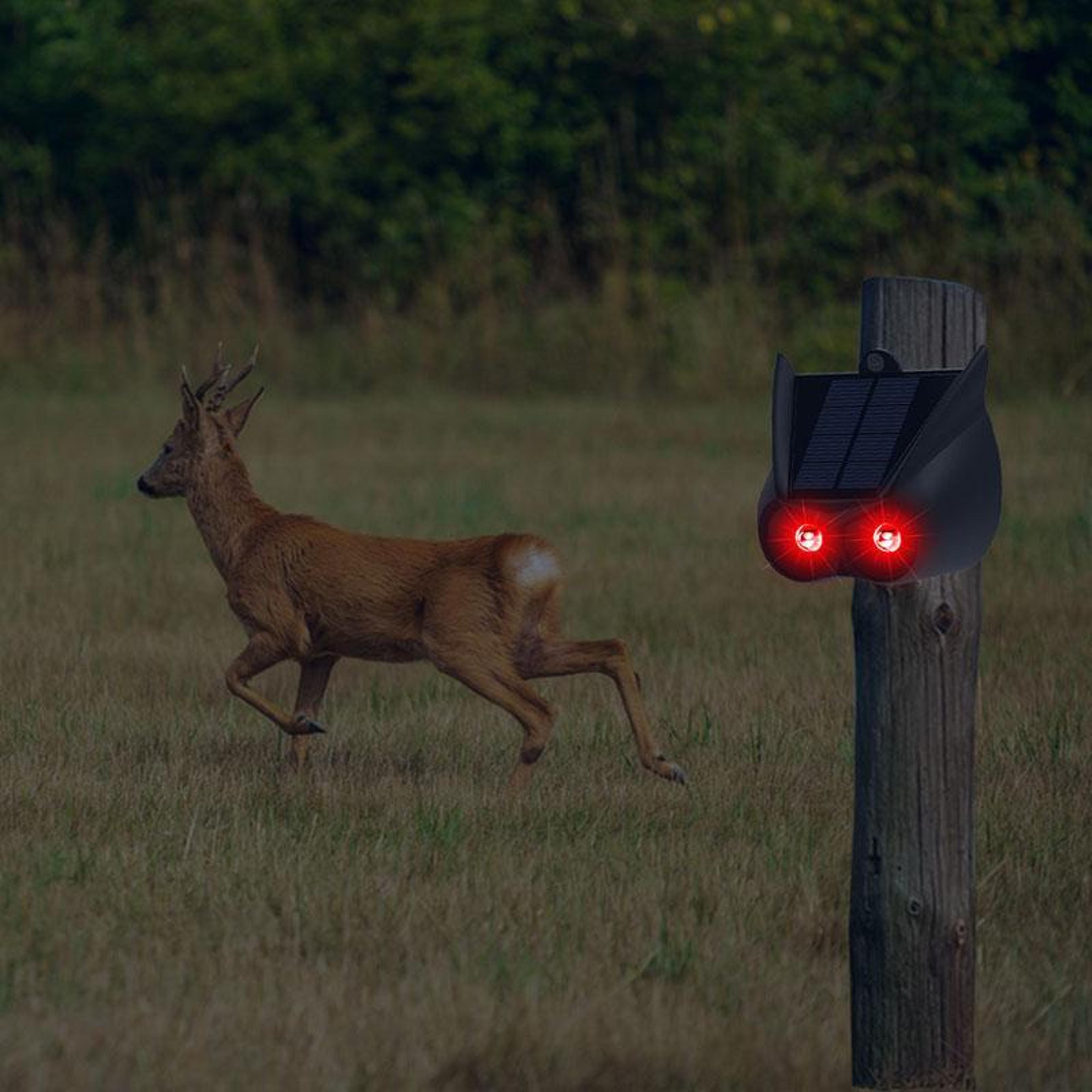 solar animal repellent predator eye deterrent light for gardens & farms