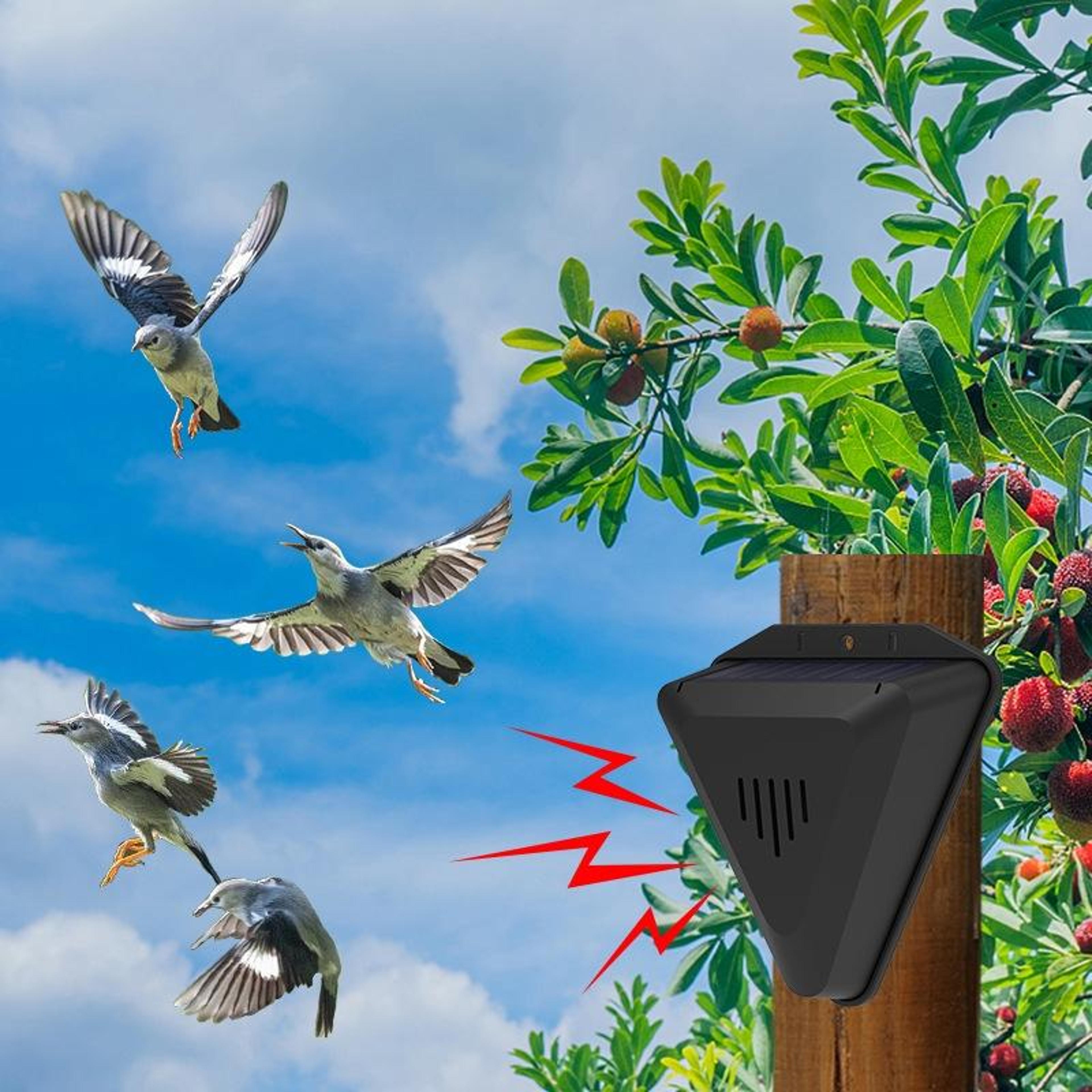 solarguard pro solar bird repeller for orchards, gardens & fish ponds