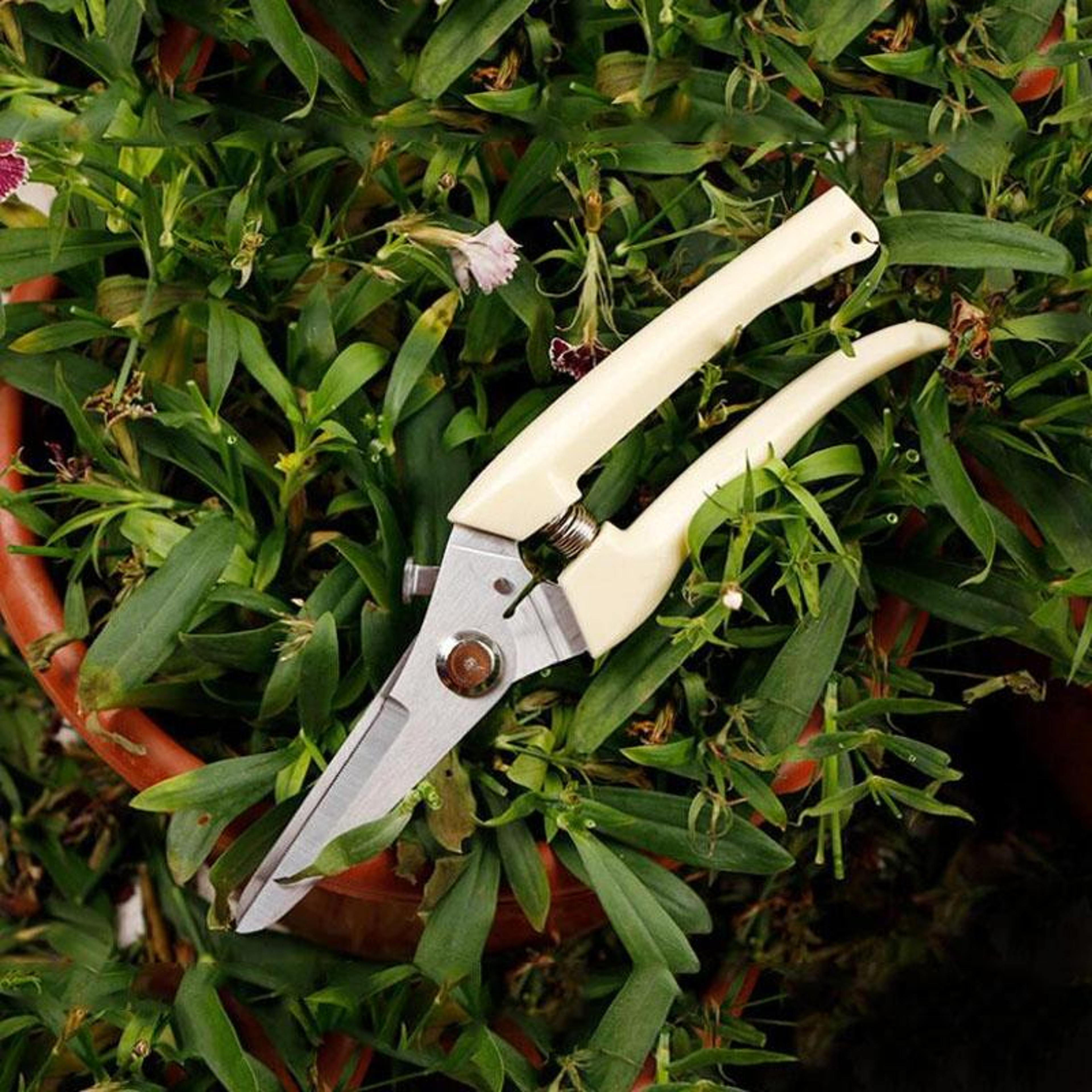 precisioncut stainless steel pruning shears for fruit trees & garden branch trimming