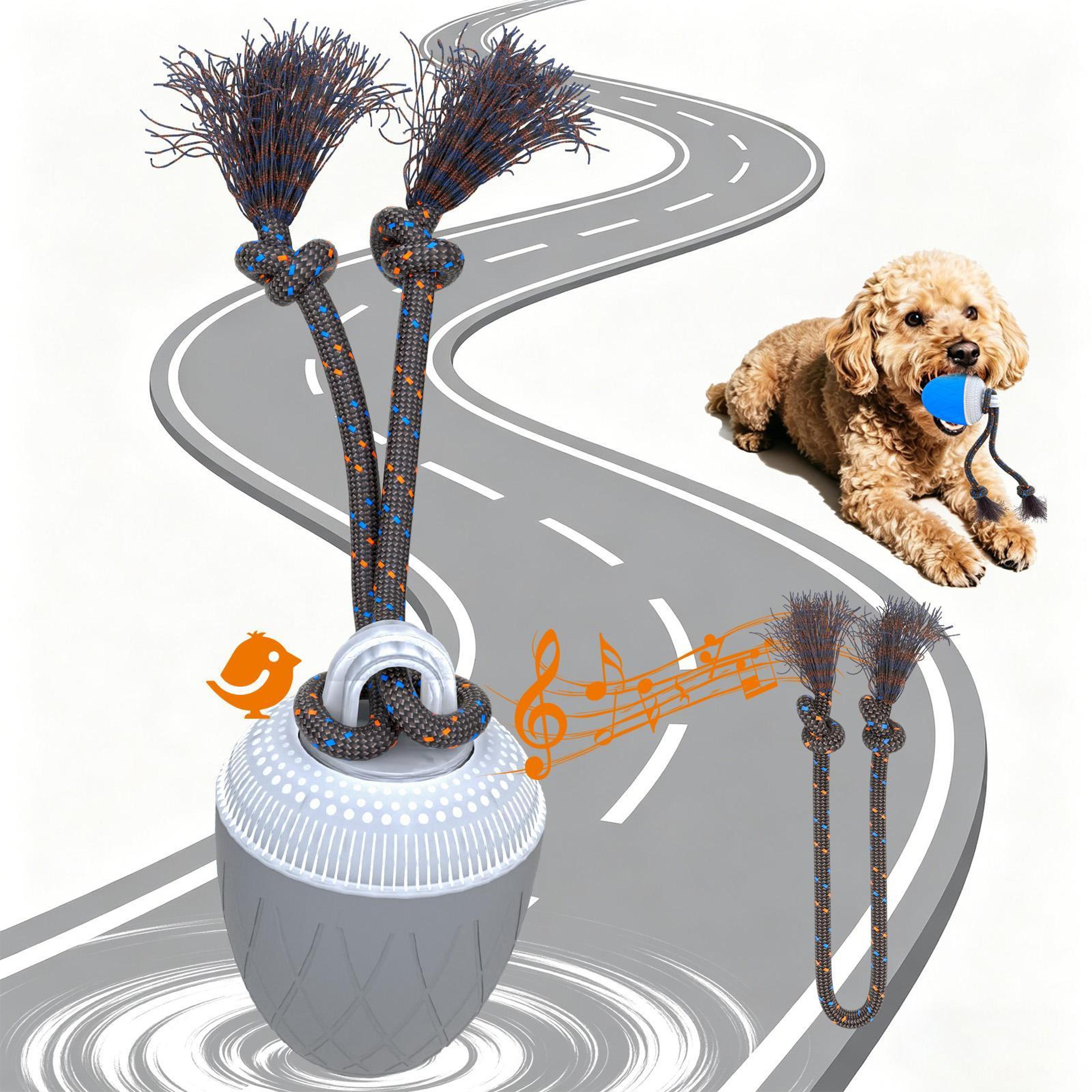 smart motion interactive dog ball with rope & usb rechargeable training toy