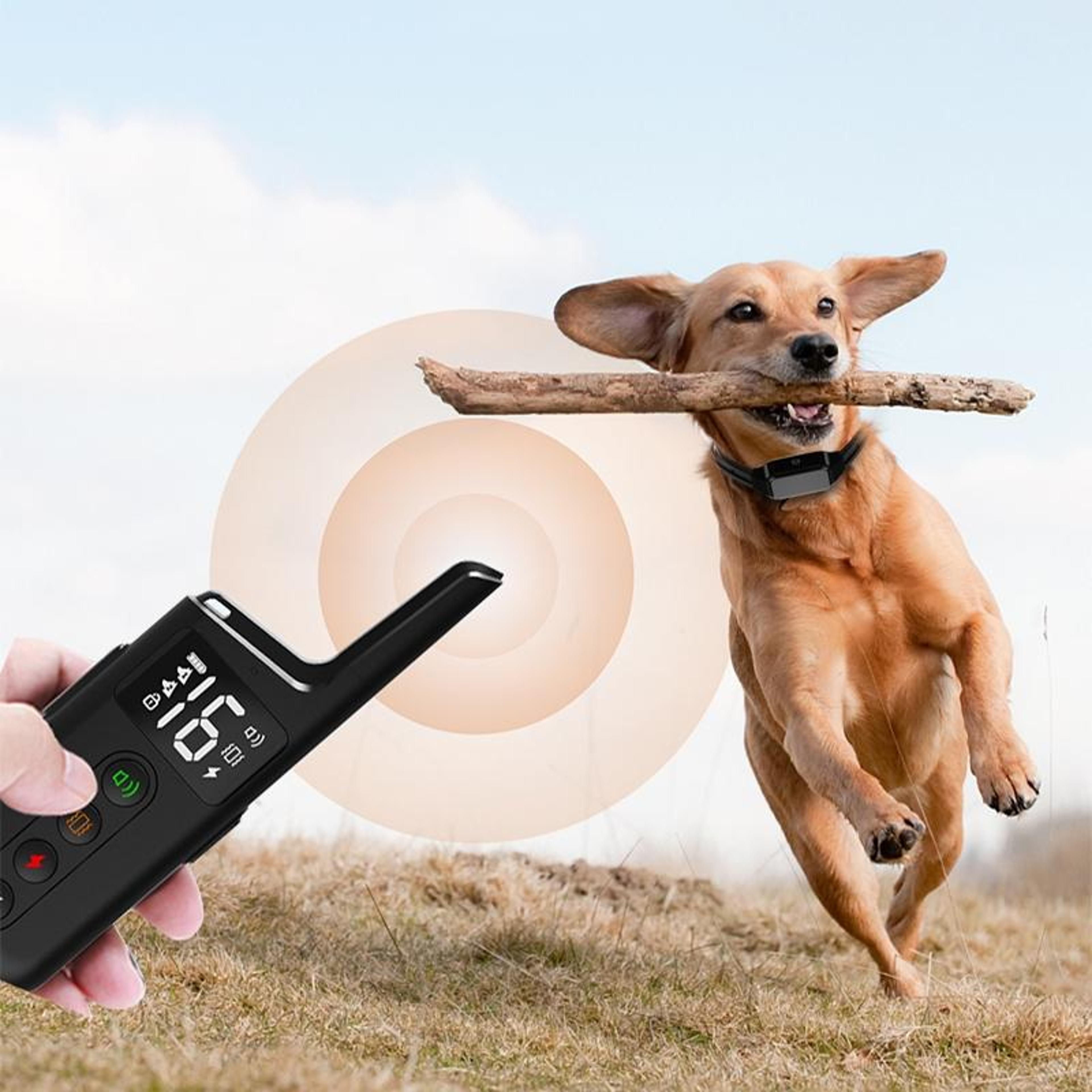 remote dog training collar with vibration, sound & waterproof long range control