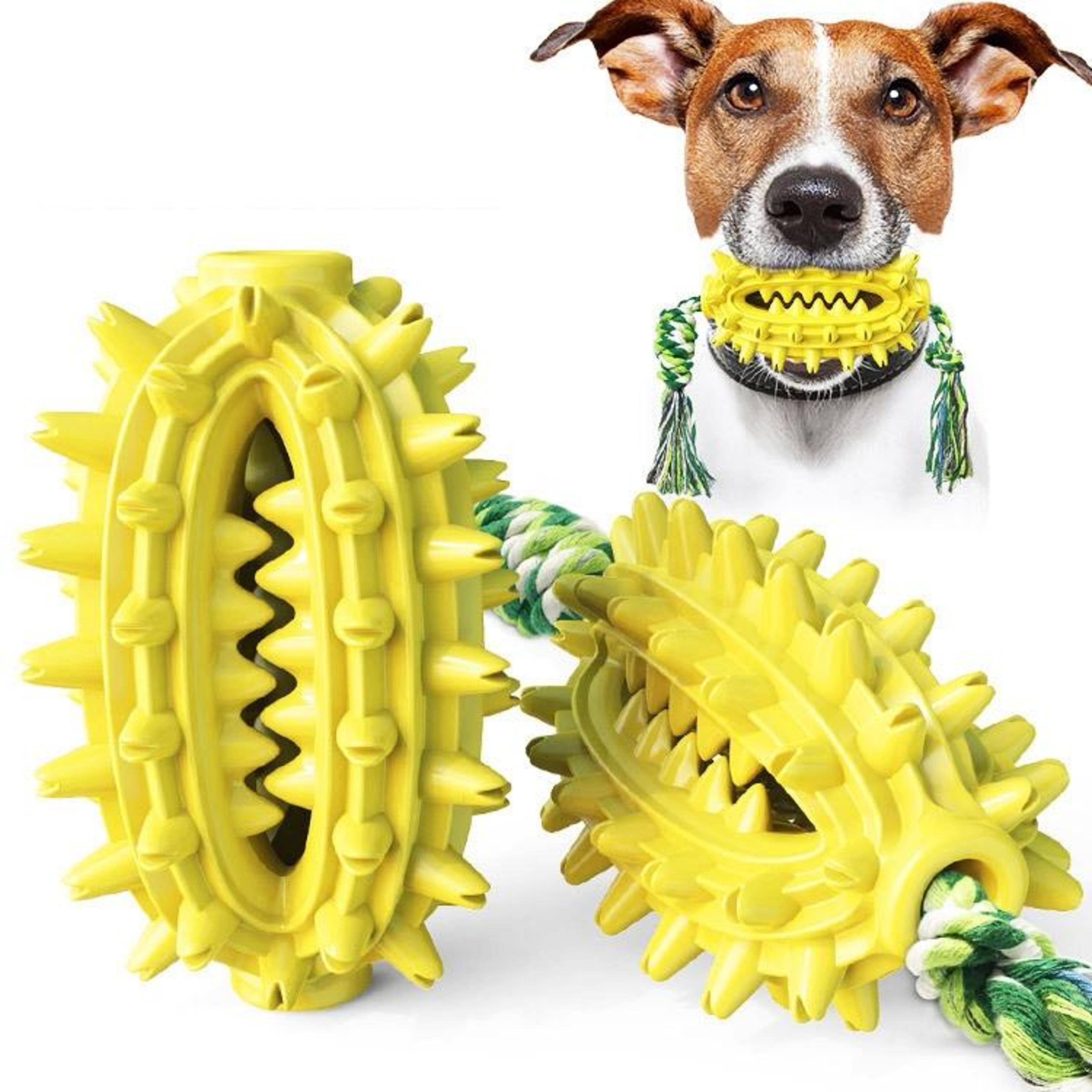 prickly pear dog toothbrush toy with rope & treat dispensing chew design