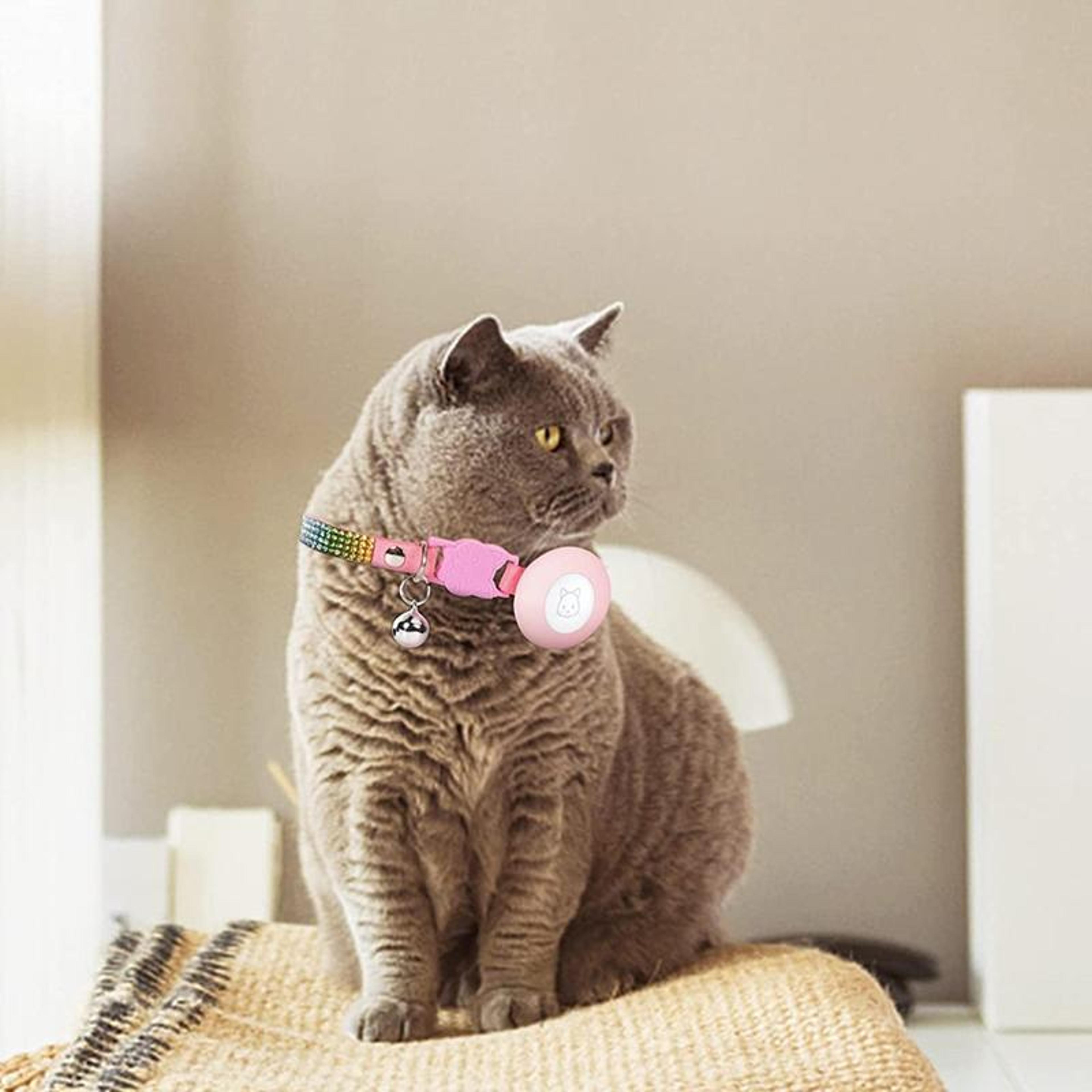 luxury rhinestone airtag pet collar with safety breakaway buckle & bell for cats and small dogs