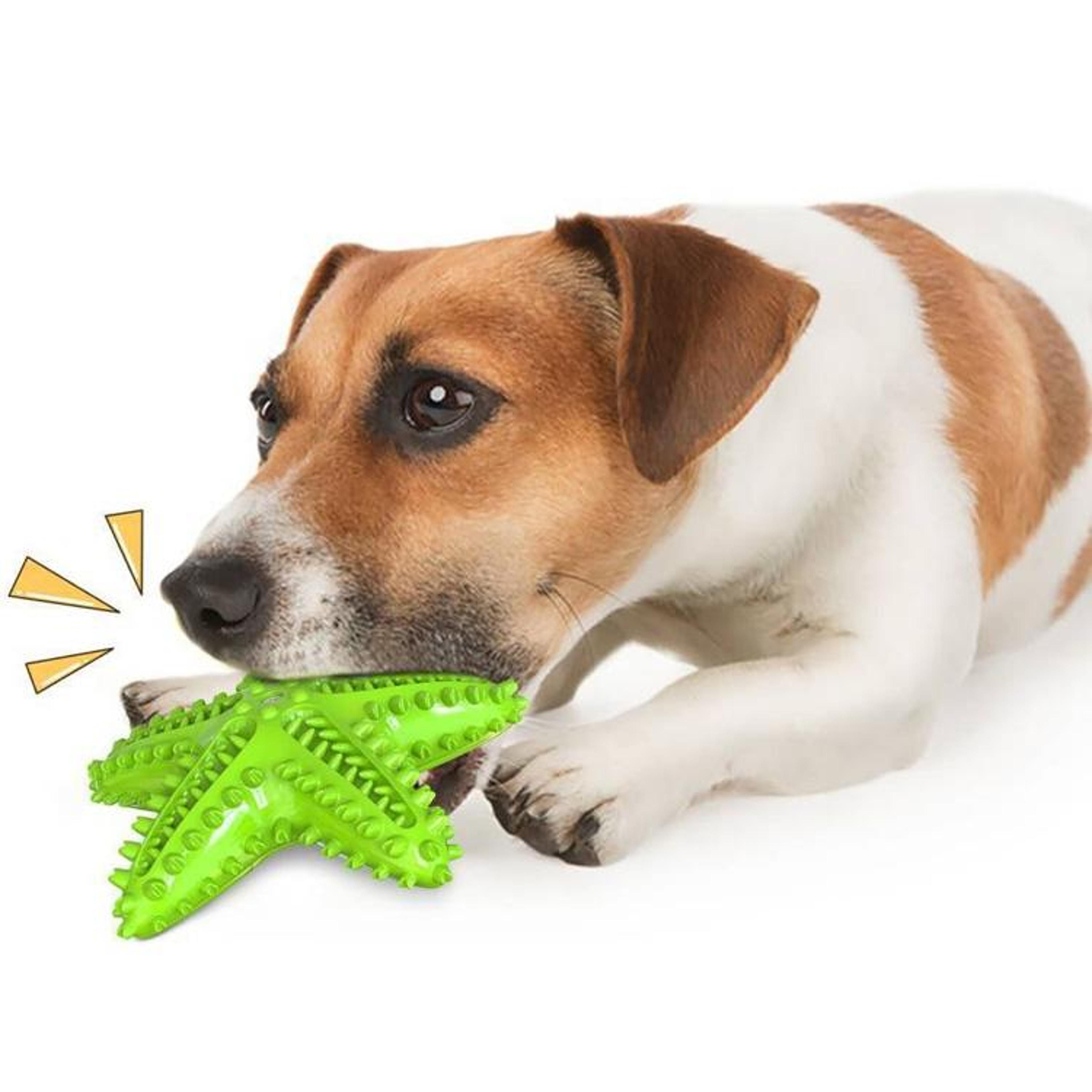 starfish interactive dog chew toy with treat dispenser and dog toothbrush toy design