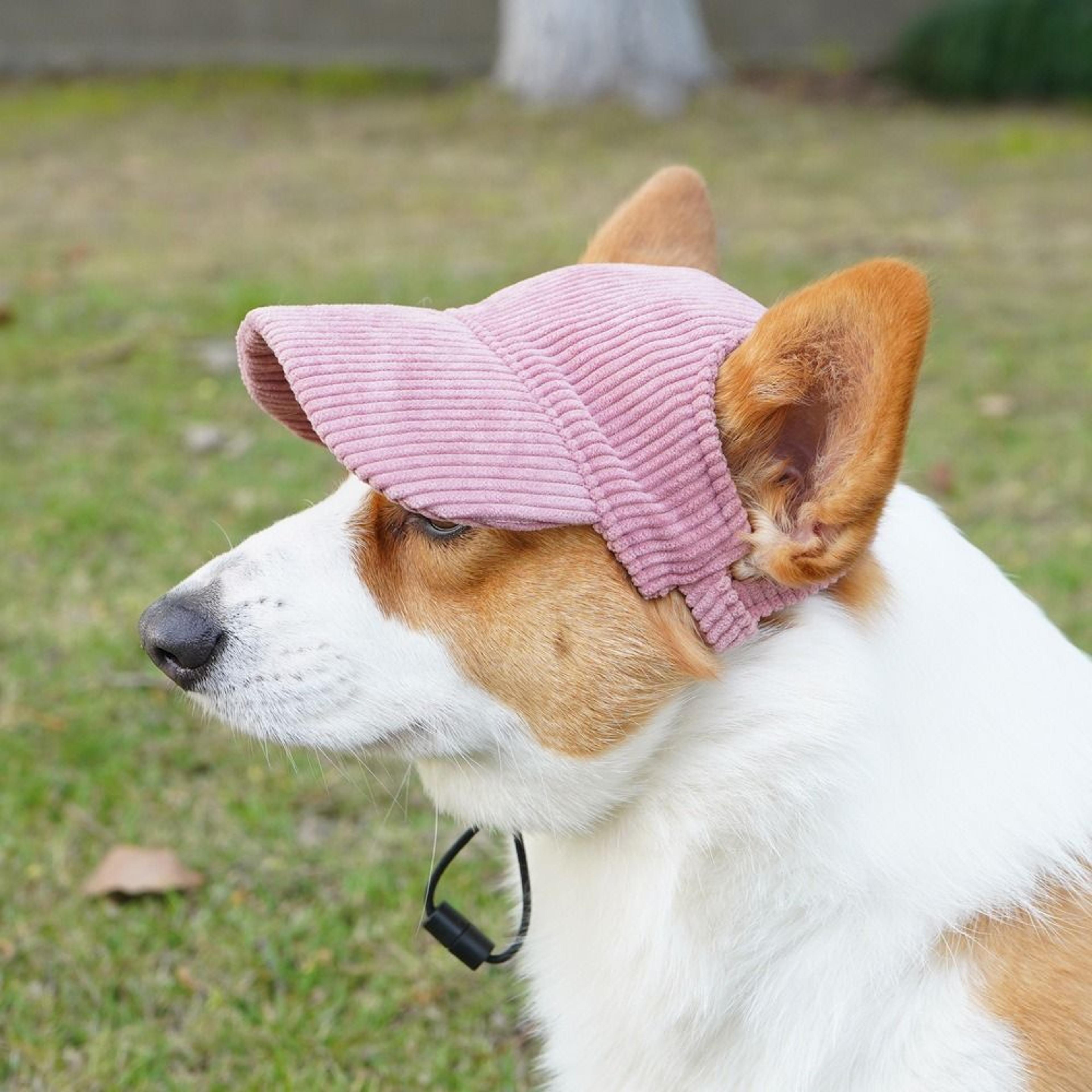 adjustable dog baseball cap for dogs, breathable sun hat with ear holes, outdoor sports hat for pet hiking, parent-child