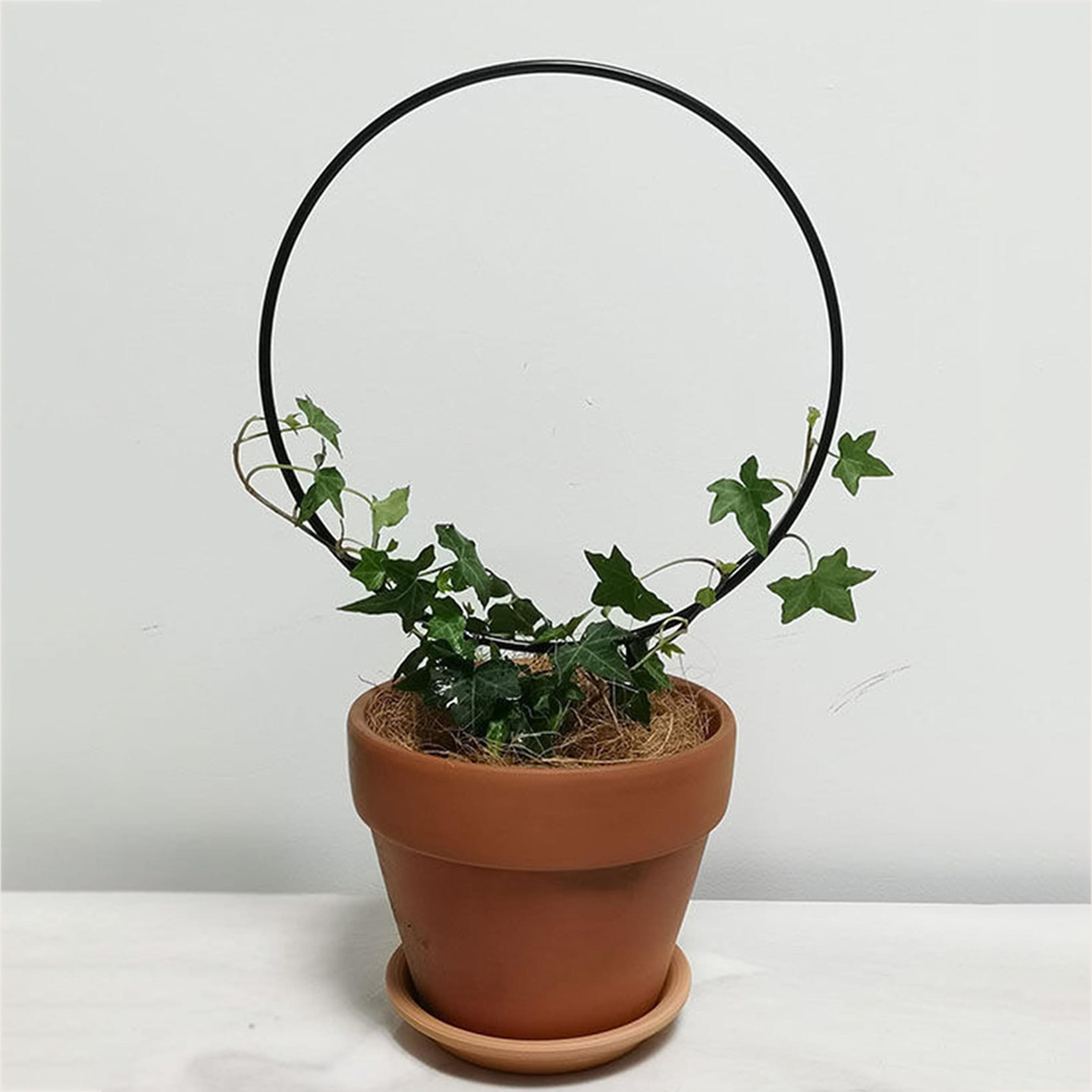iron garden trellis with black rust proof coating for climbing plants, indoor flower vine support