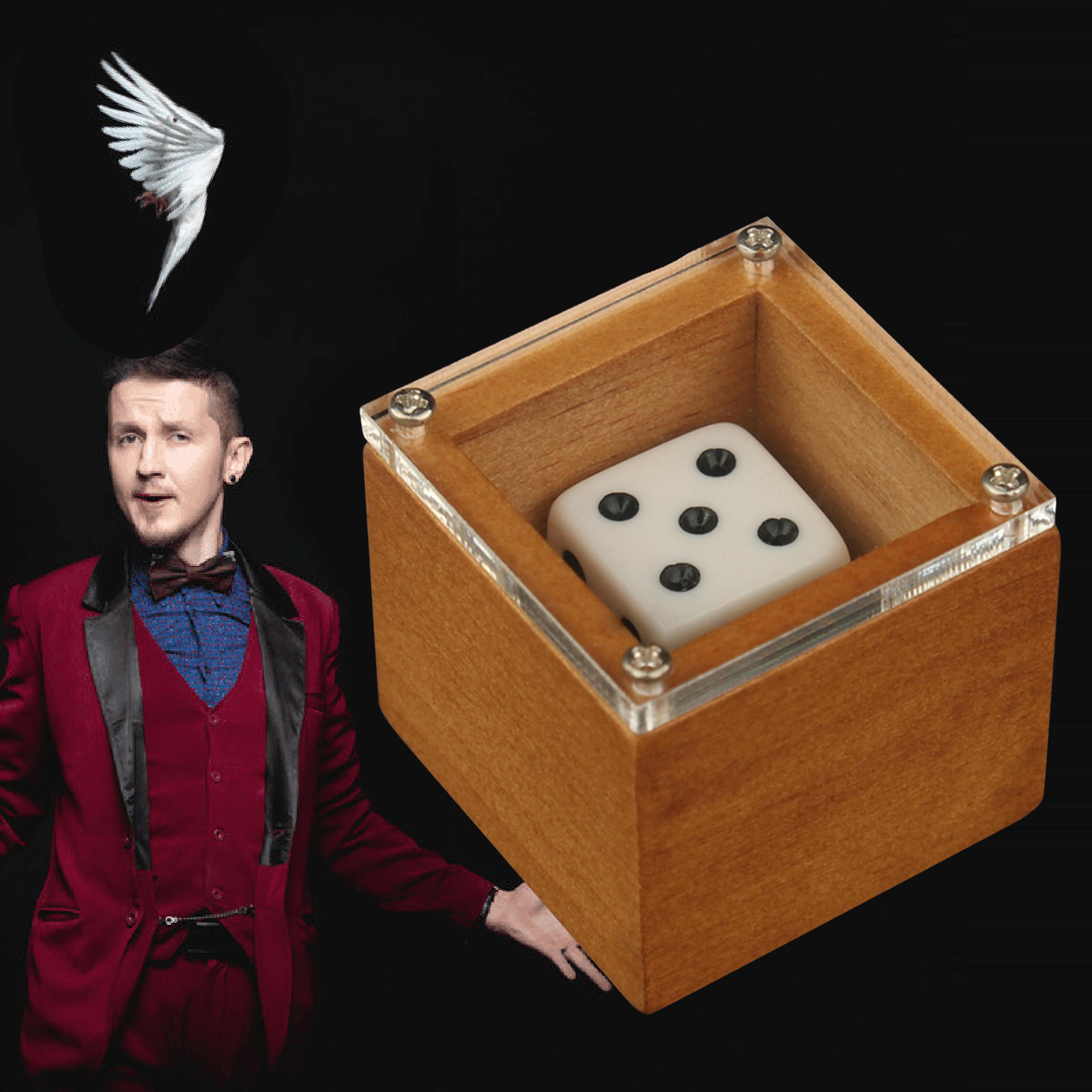 magic dice trick, dot number changing illusion prop for kids & adults | stage & close-up magic