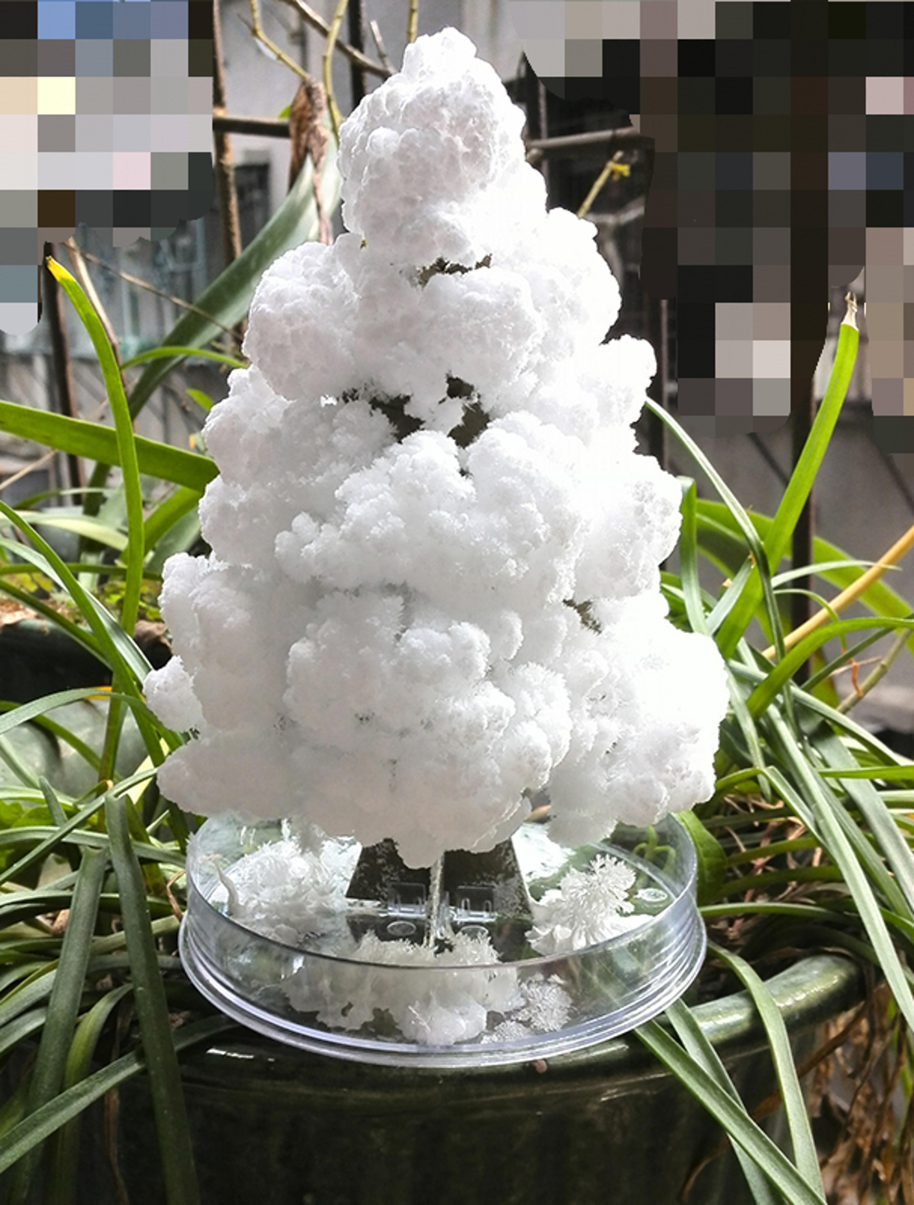 magic crystal growing tree diy science experiment kit for kids stem educational toy