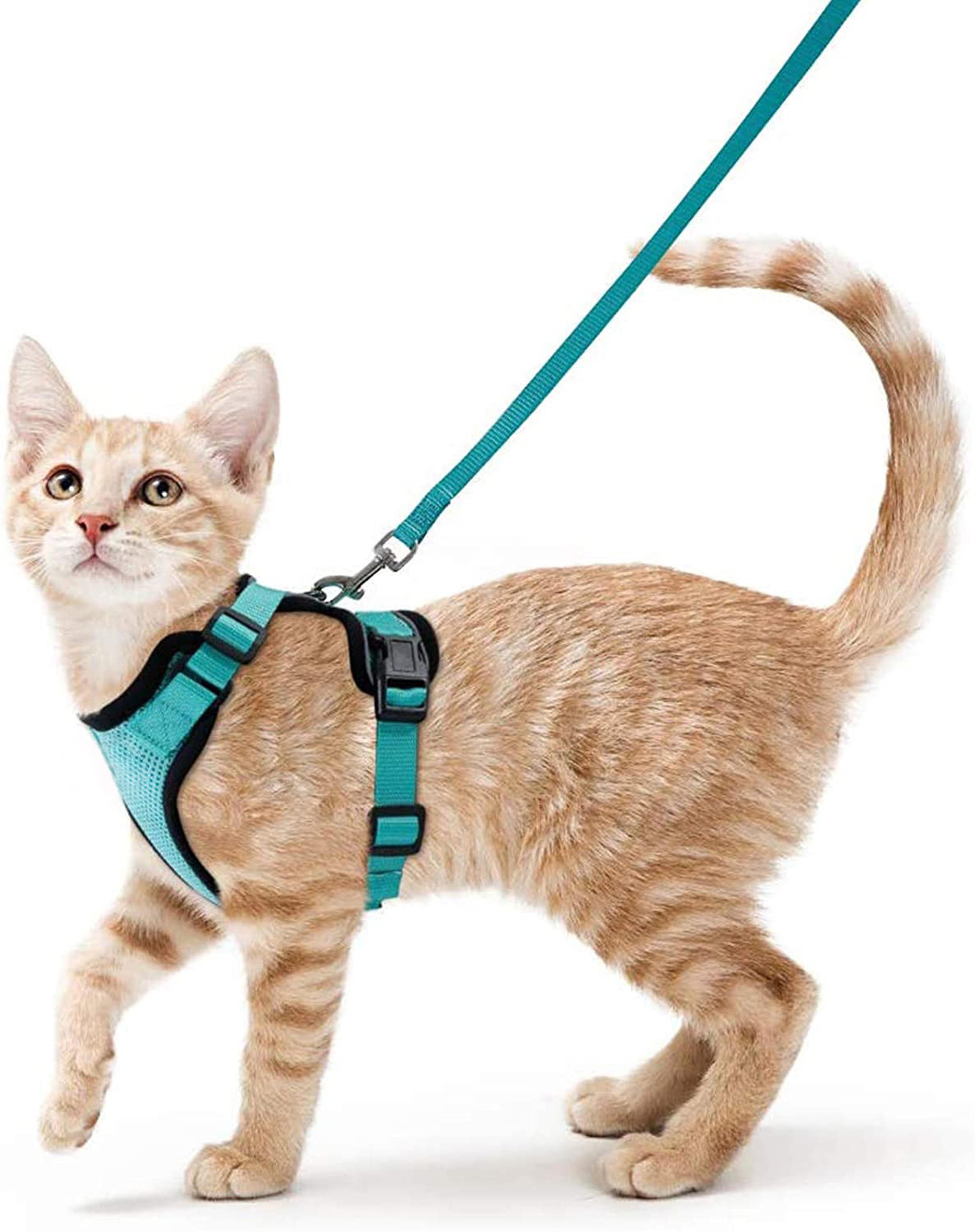 adjustable cat harness and leash for walking, escape-proof, easy-wear design for safe outdoor adventures
