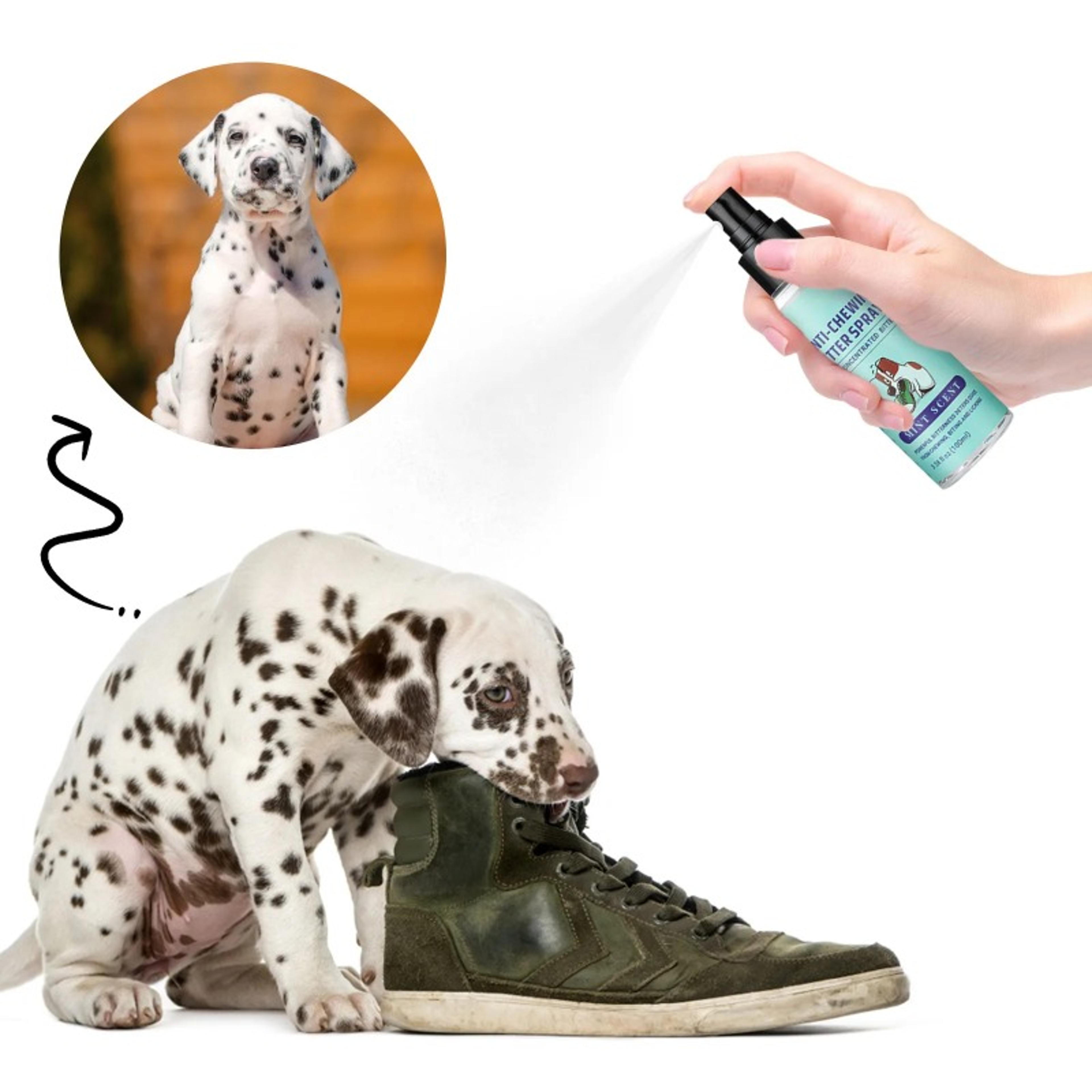 bitter no chew spray, furniture surface protector for dogs stop chewing biting, training repellent and licking control