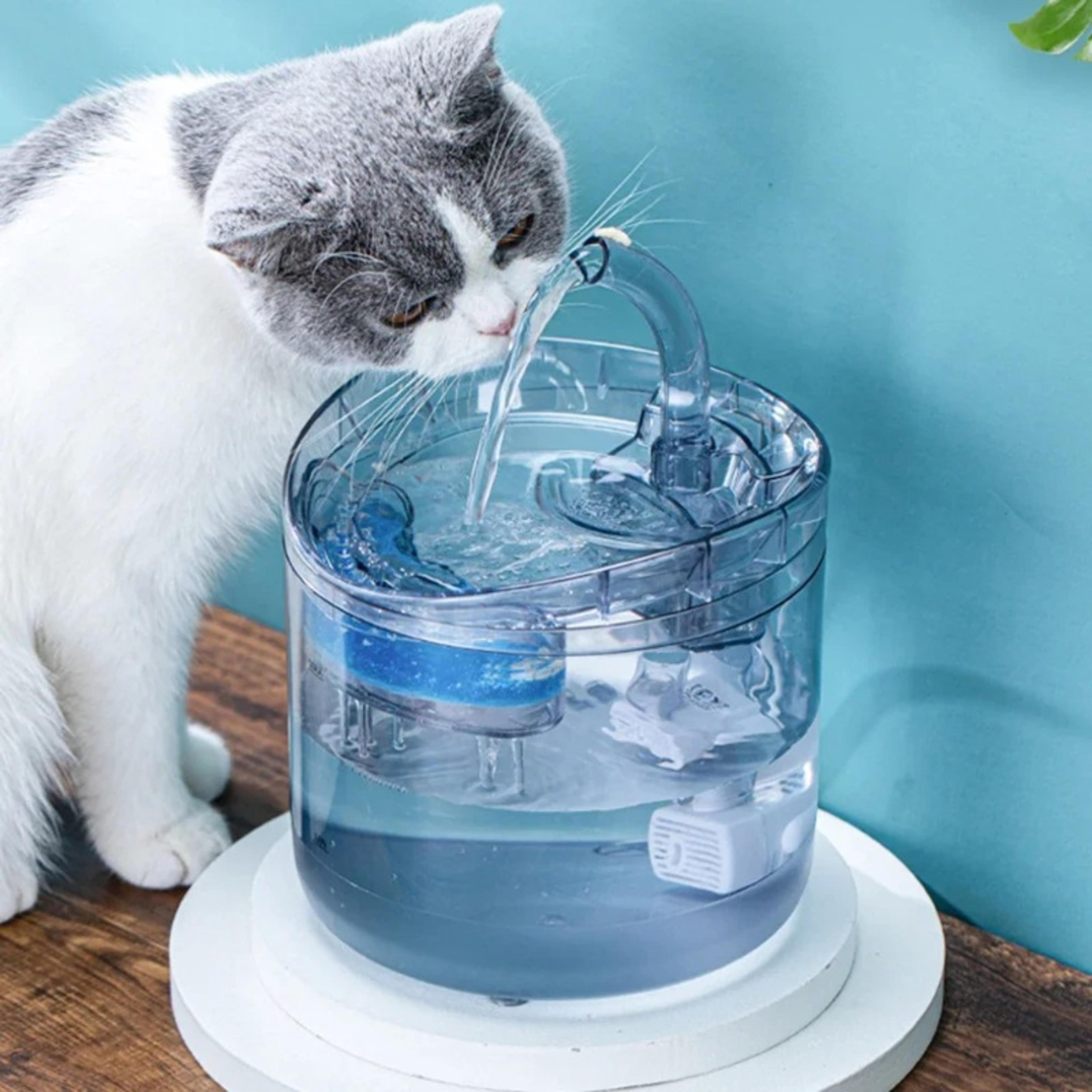 auto smart cat water, fountain quiet tilted design, fresh water circulation pet drinker, energy efficient hydration