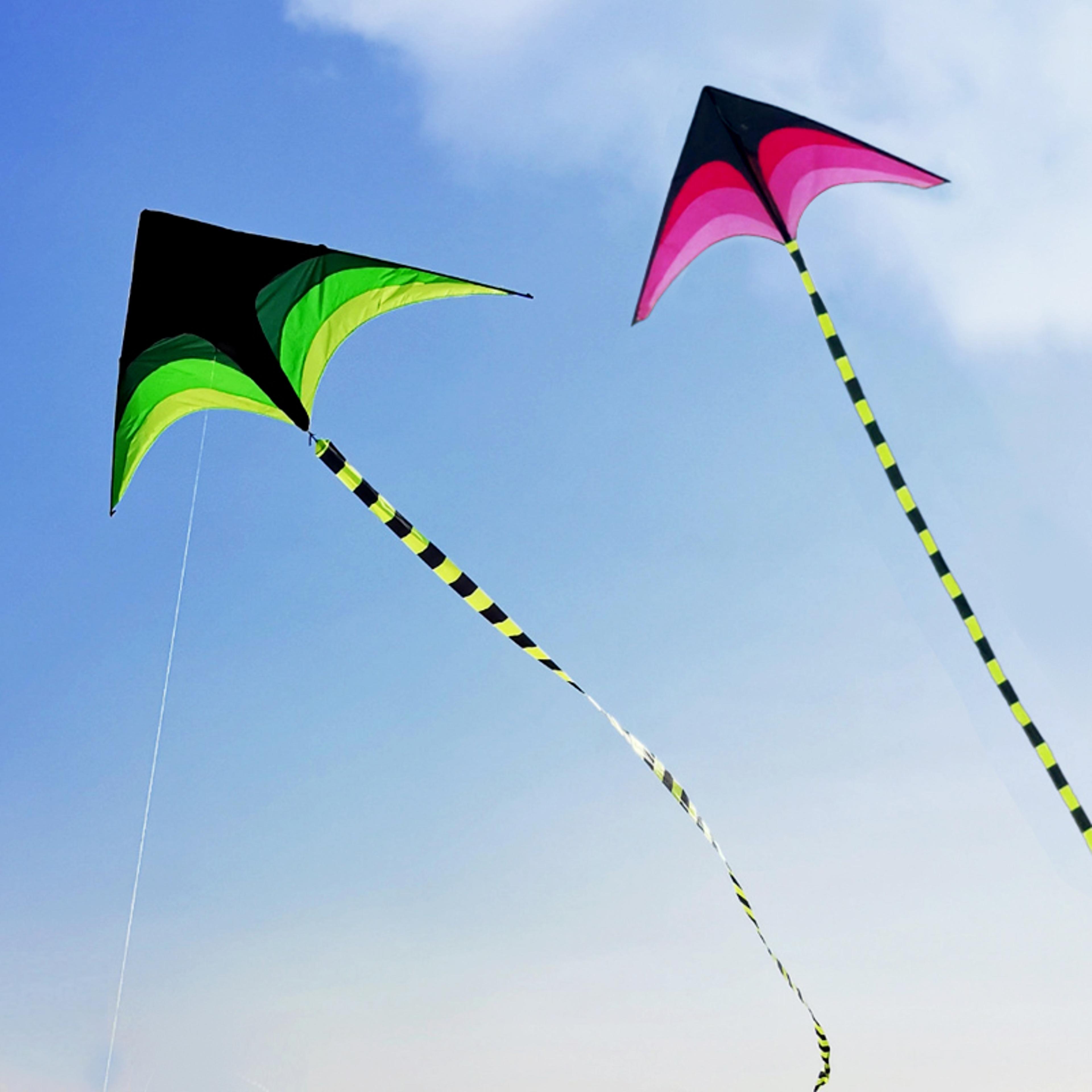 large delta kite for kids and adults, easy to fly, huge green design with 500cm tail, outdoor toys with 100m line