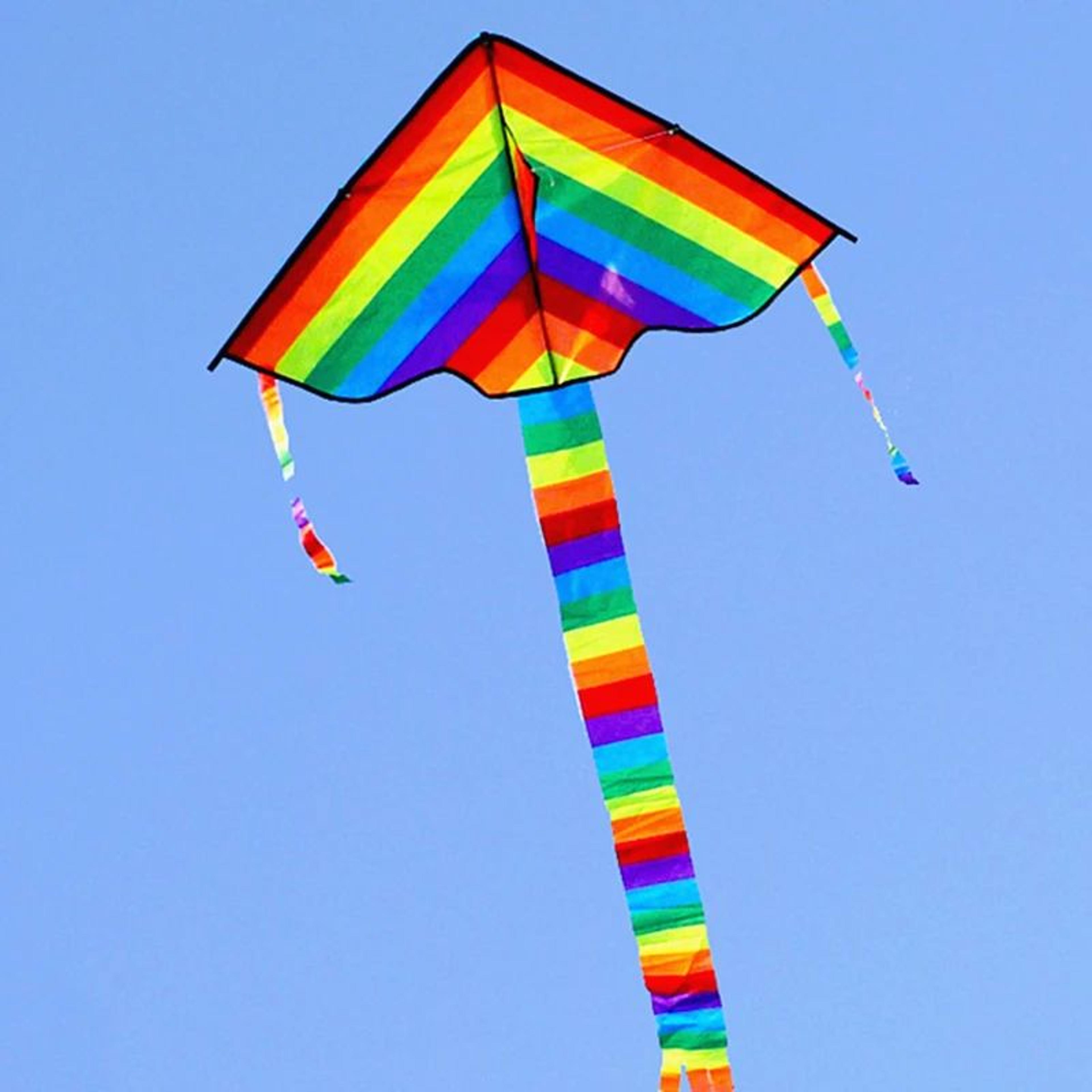large delta kite for kids and adults, easy to fly, huge green design tail, outdoor toys