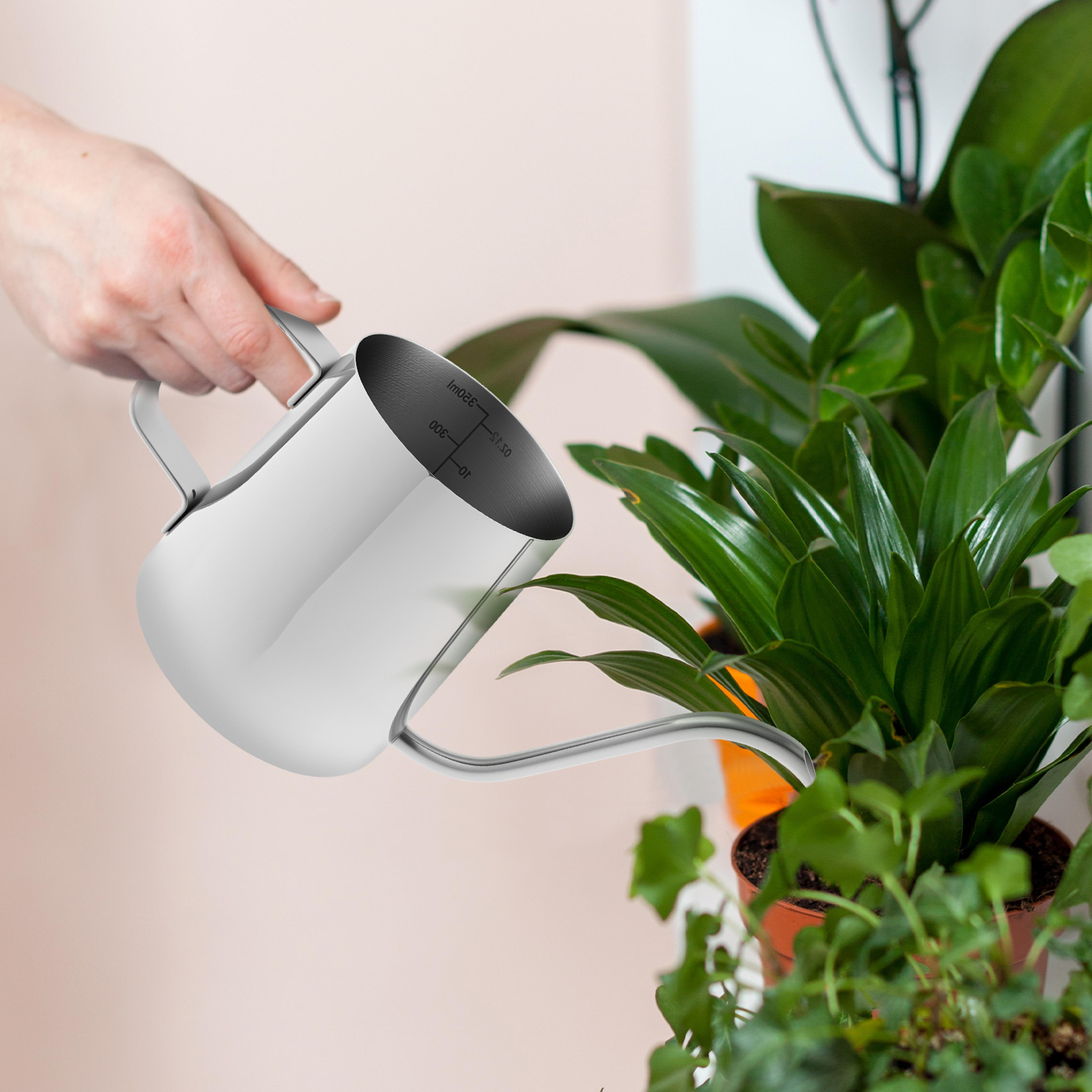 mini stainless steel watering can for indoor plants