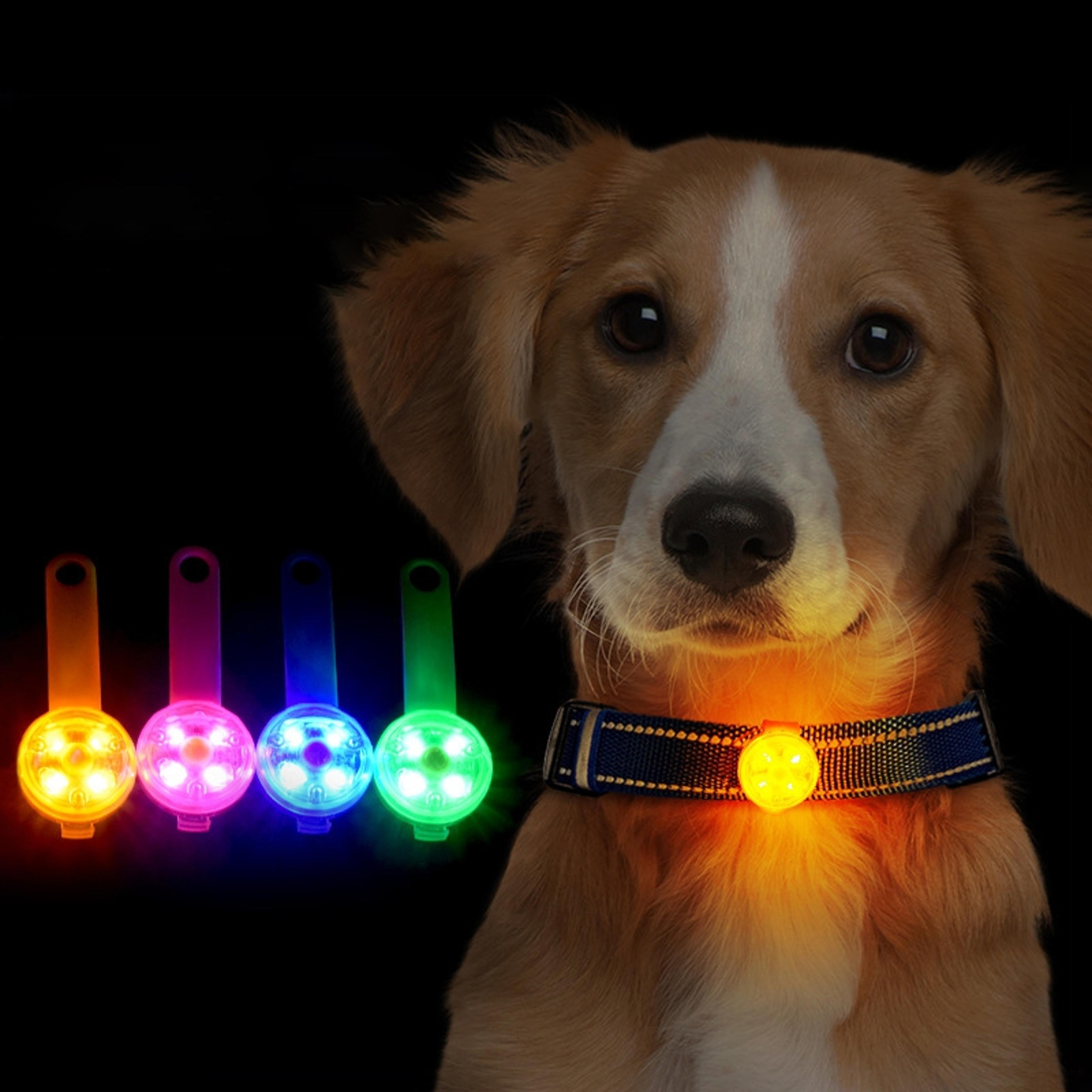 led dog collar light, rechargeable flashing pet cat night safety pendant, flashlight accessories for dogs and puppies