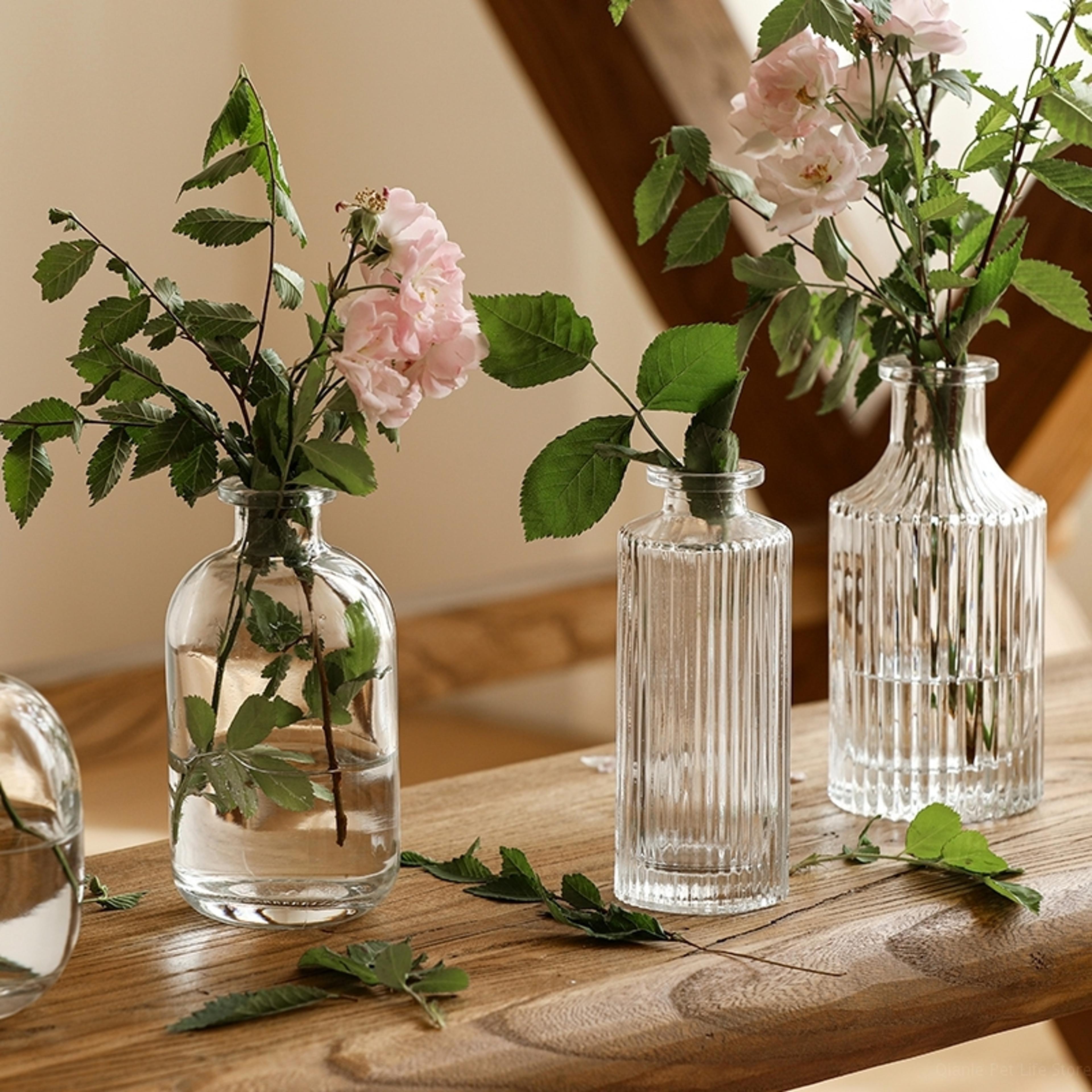 mini transparent glass vase nordic flower vase, hydroponic plant vase, modern living room glass ornament, floral wedding