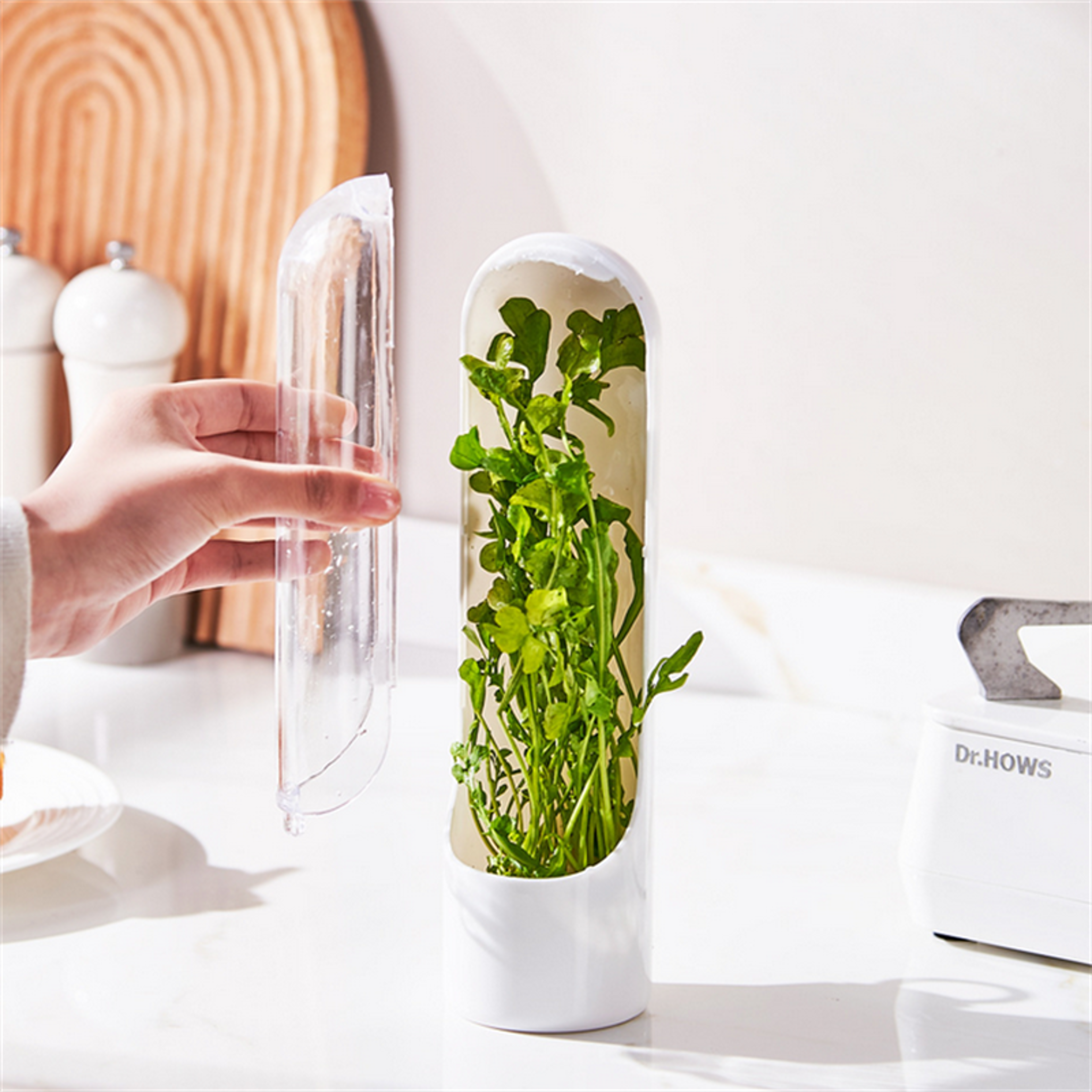 herb saver storage container, fresh herb keeper for vegetables, vanilla preservation bottle for refrigerator kitchen