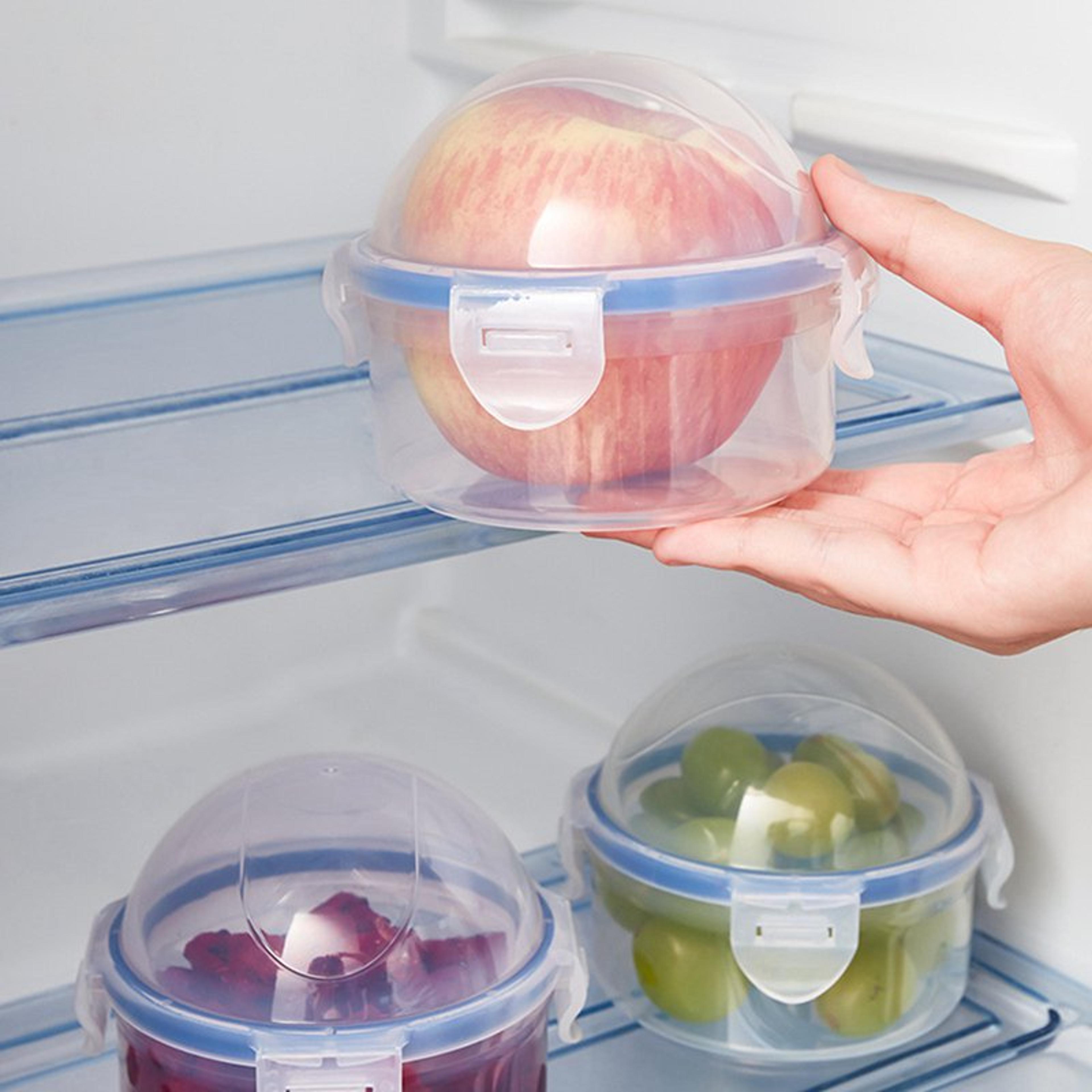 reusable food saver box, tomato, garlic, onion, lemon keeper, refrigerator clear box, vegetable, fruit holder for fresh