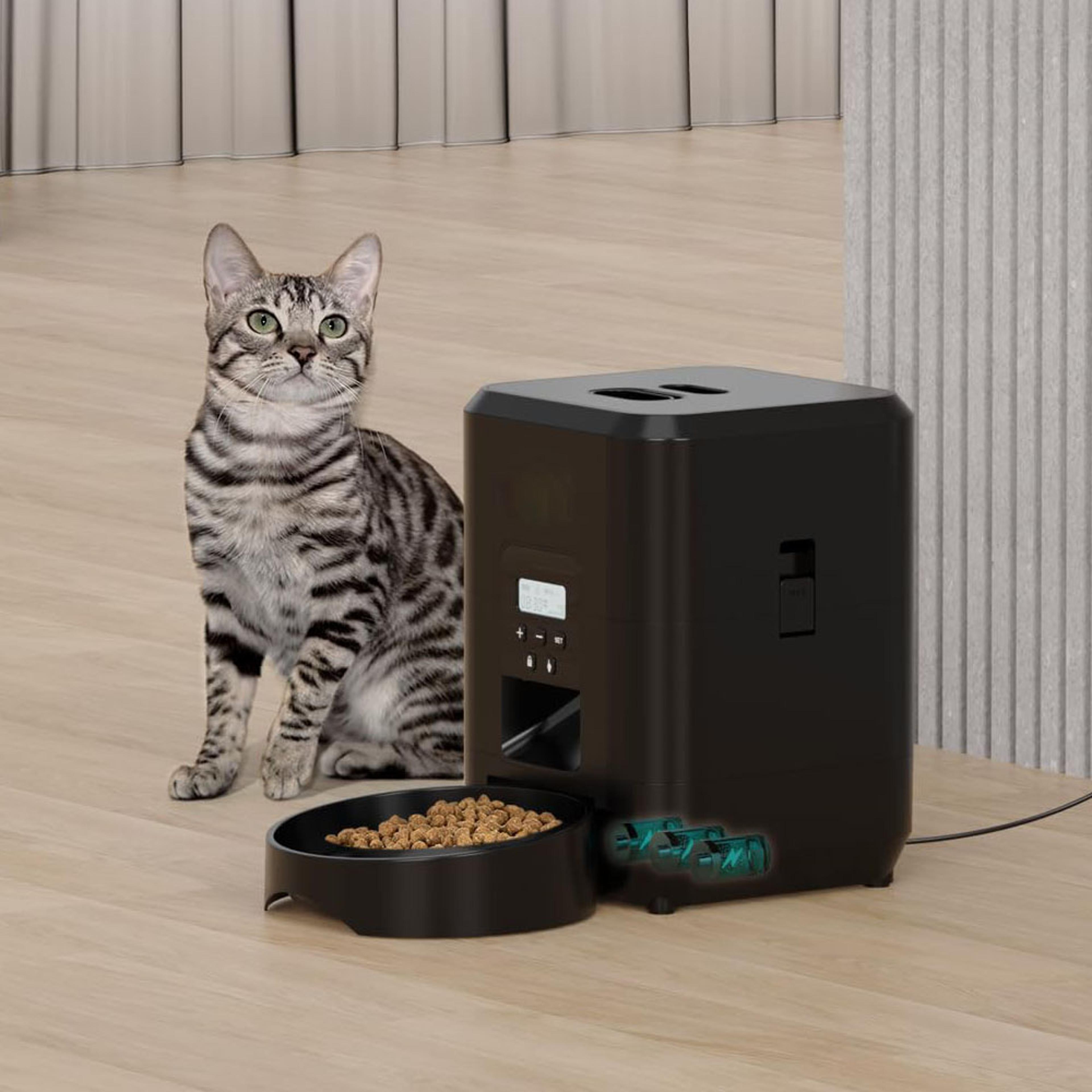 automatic smart pet feeder timed food dispenser for cats dogs