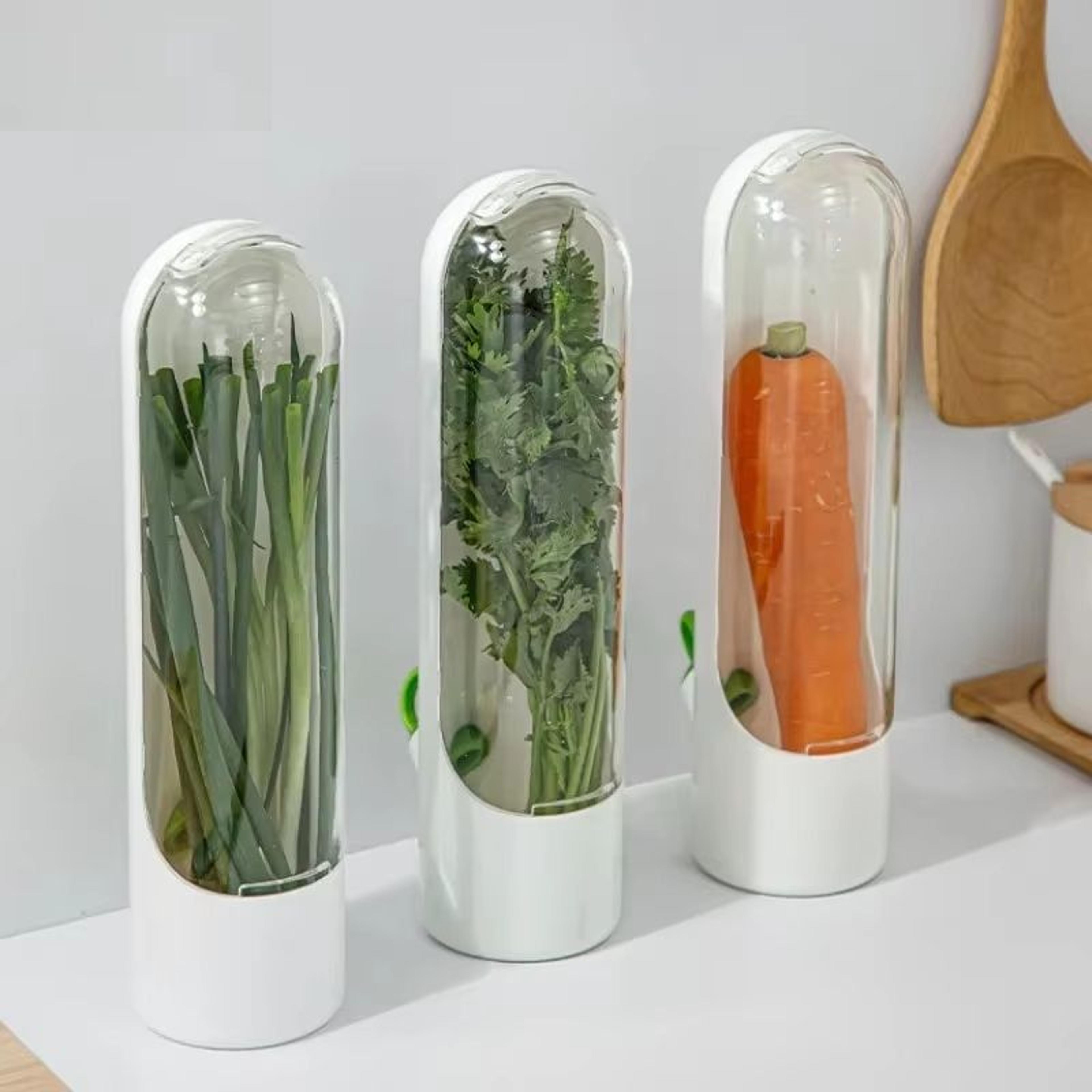 vanilla vegetable fresh-keeping box dust-proof, anti-pressure, environmental protection fresh-keeping device, creative